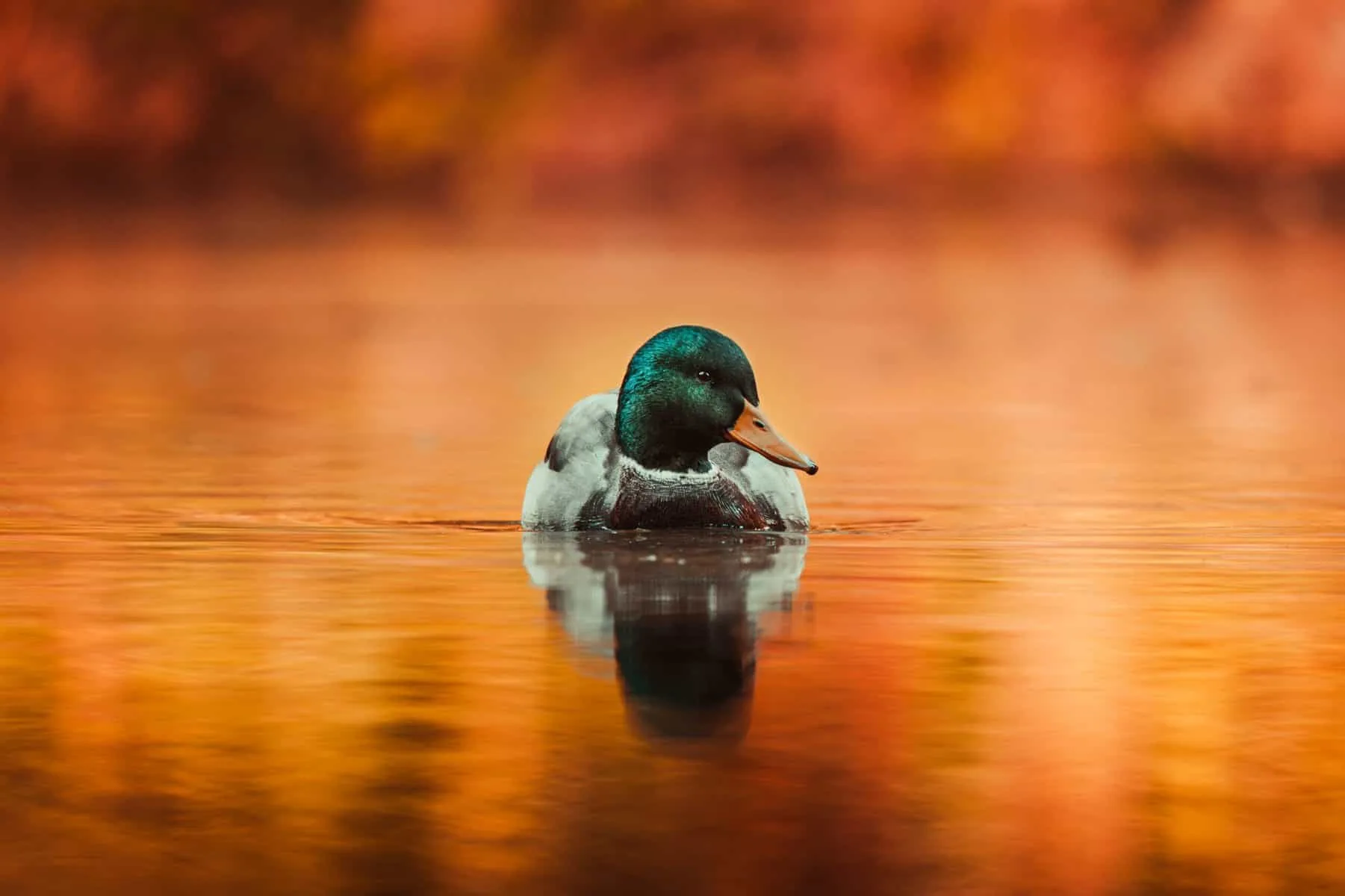 How Can I Improve The Smell Of Well Water?