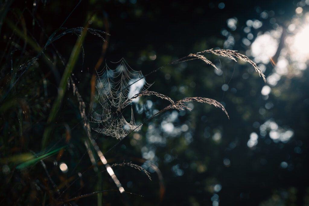 How Do I Handle Well Pump Control Box Issues And Replacement? Water