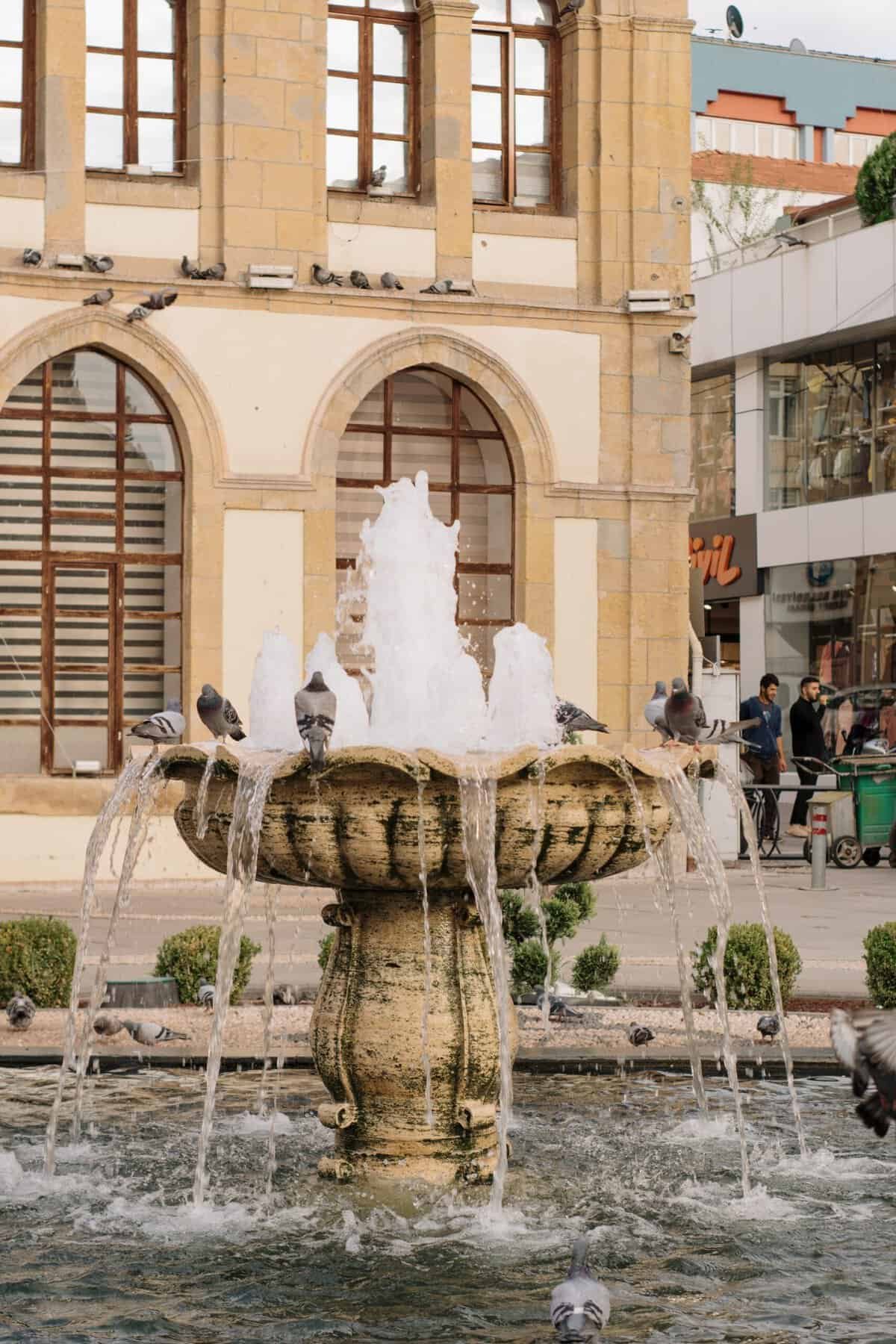 What Is The Ideal PH Level For Safe Well Water?