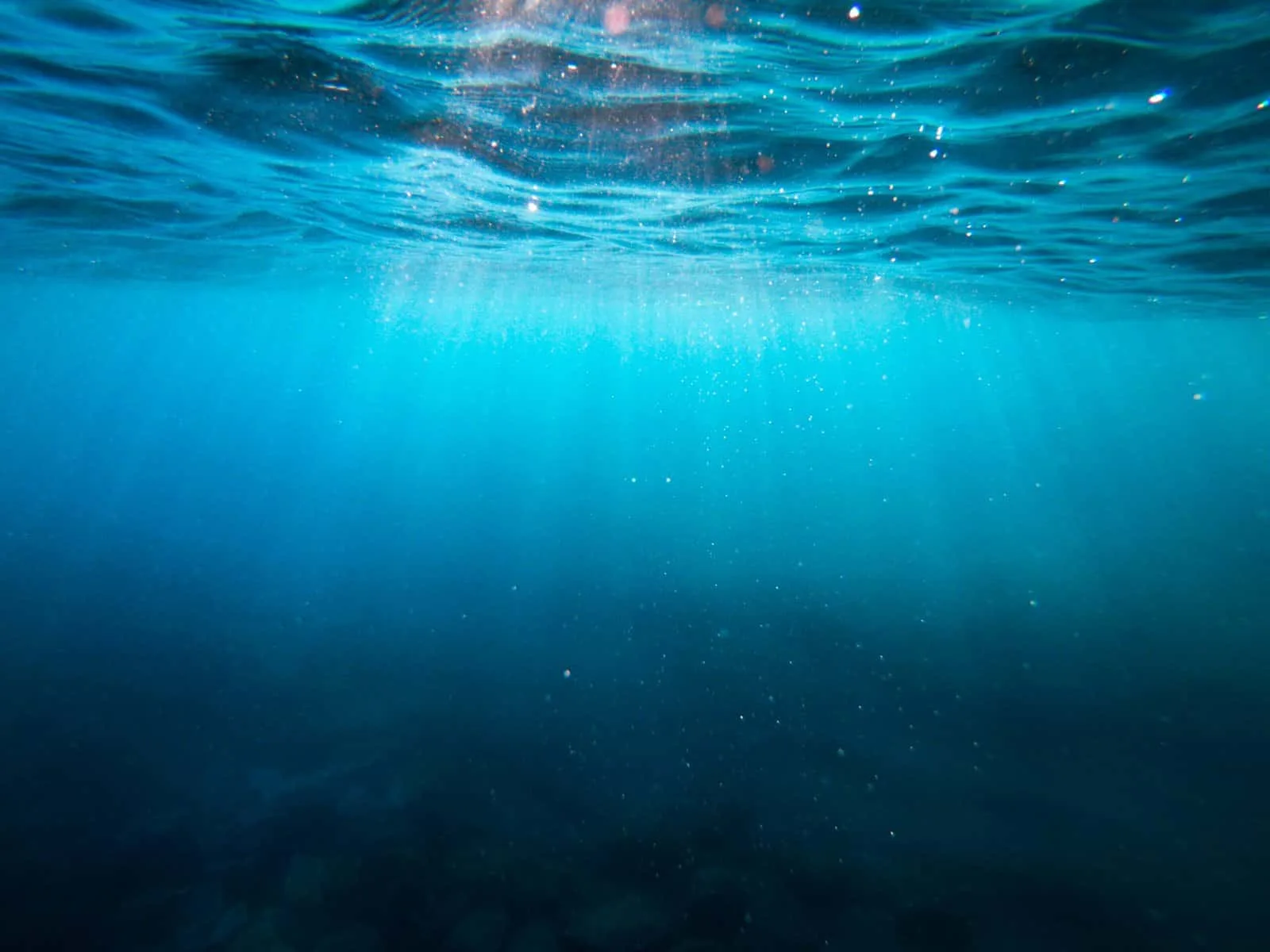 How Can I Prevent Contamination By Cryptosporidium And Giardia In Well Water?