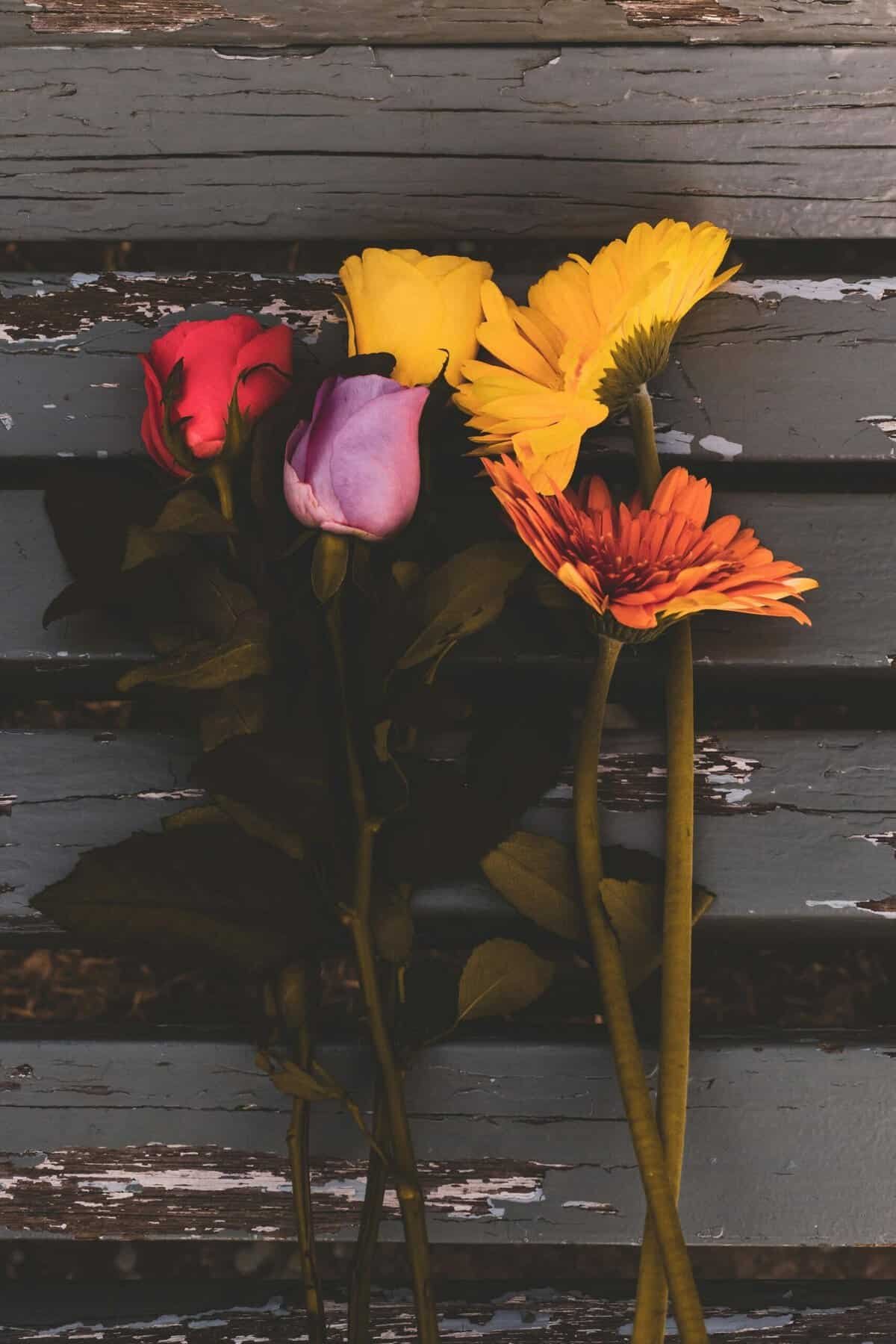 How Can You Prevent And Address Algae Problems In Your Well? How Can You Prevent And Address Algae Problems In Your Well?