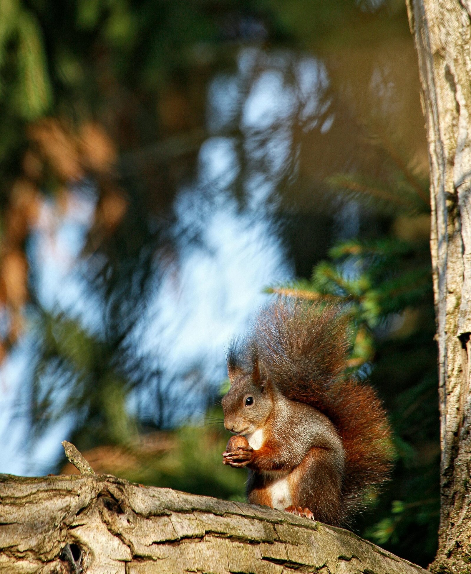 How Can You Extend The Life Of Your Water Well System?