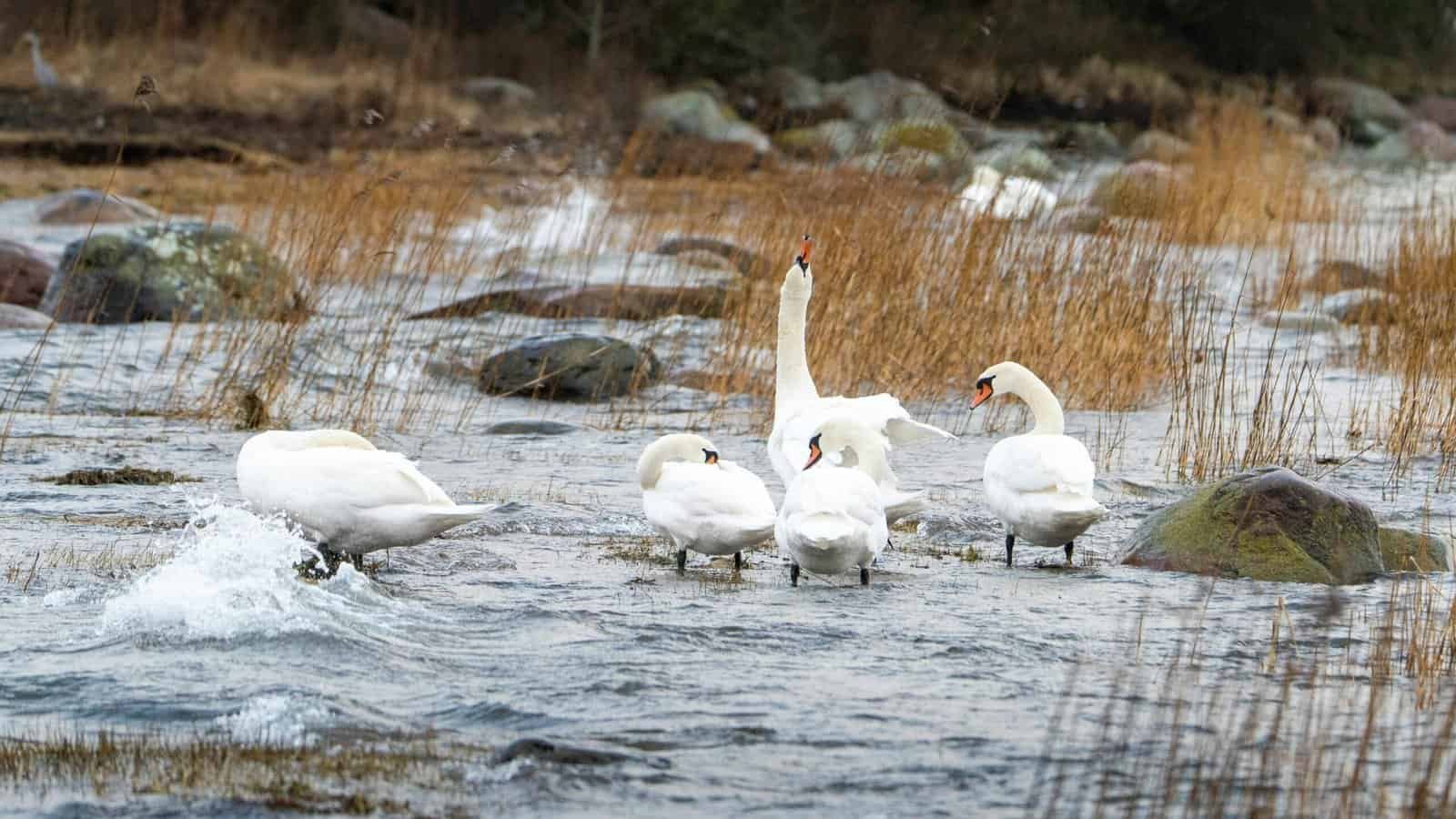 How Can You Extend The Life Of Your Water Well System?