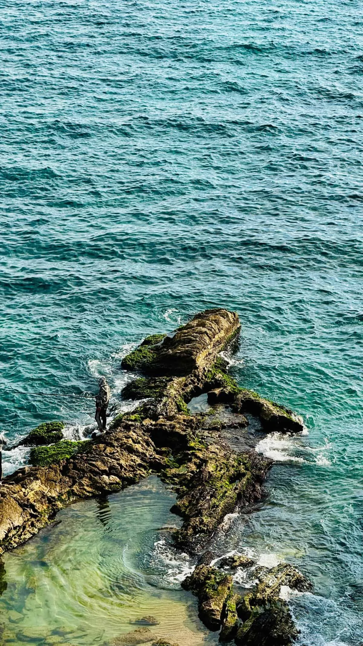 How Can You Prevent And Address Algae Growth In Your Water Well?