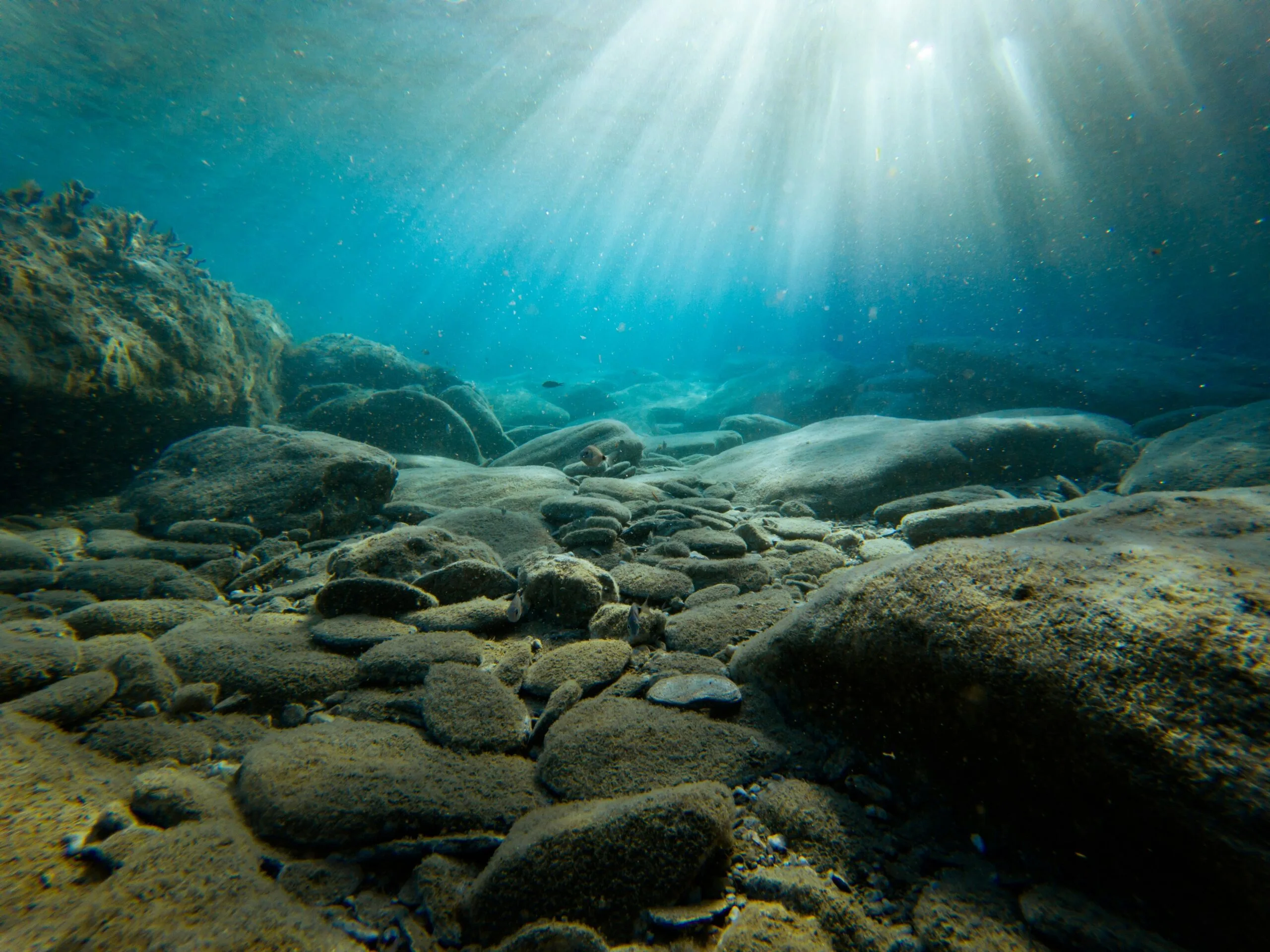 What Steps Should Be Taken If Your Well Water Has High Iron Content?