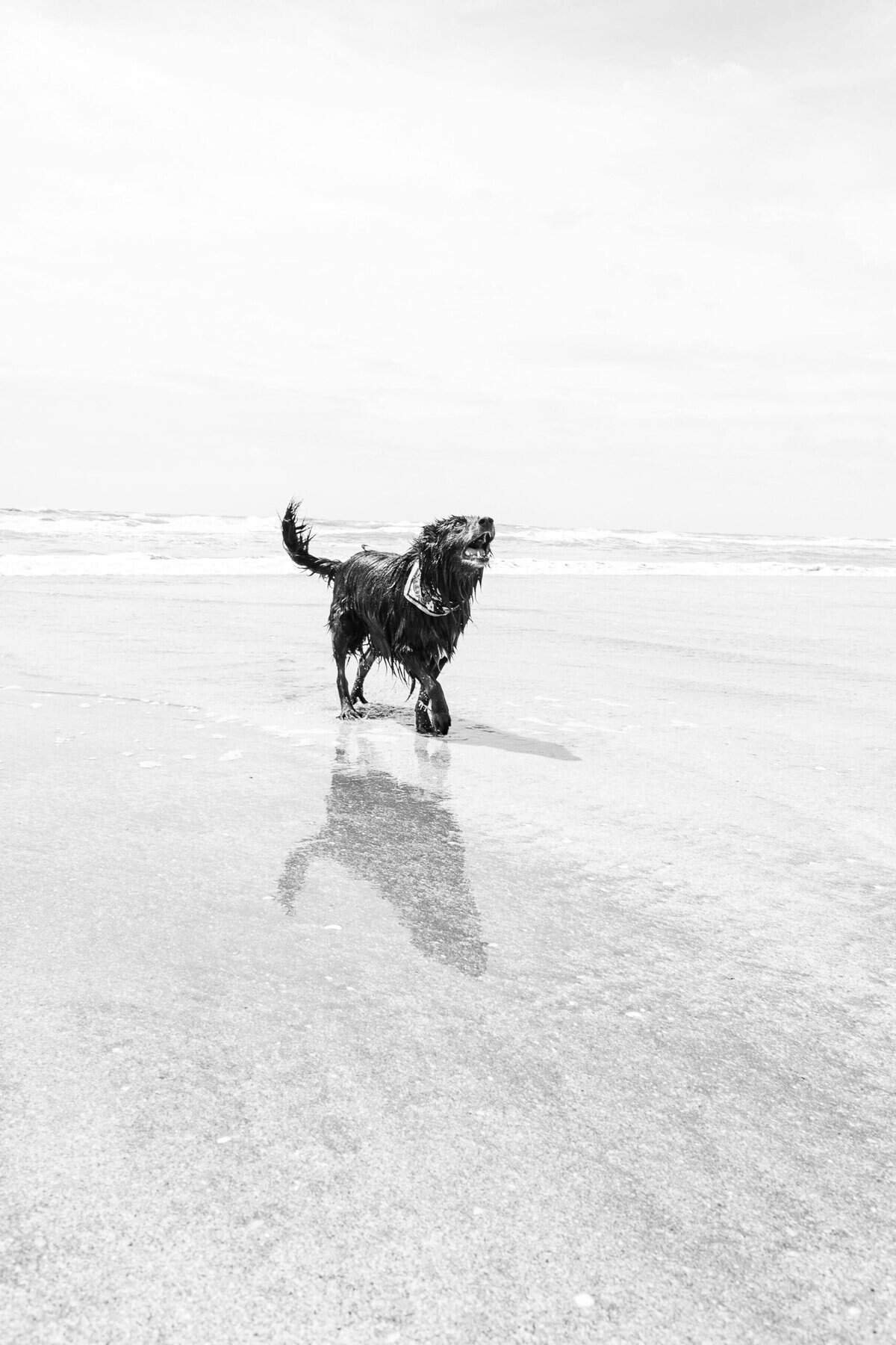 Google News: A Hub for Global Water Wells Coverage