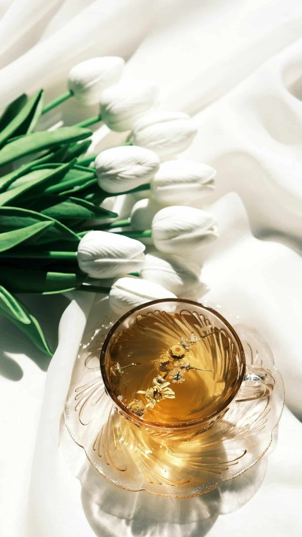 How Can You Maintain A Well Pump To Ensure Longevity? How Can You Maintain A Well Pump To Ensure Longevity?