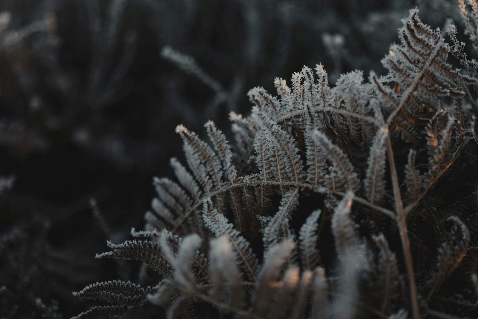 Can Freezing Temperatures Affect Well Safety? Can Freezing Temperatures Affect Well Safety?