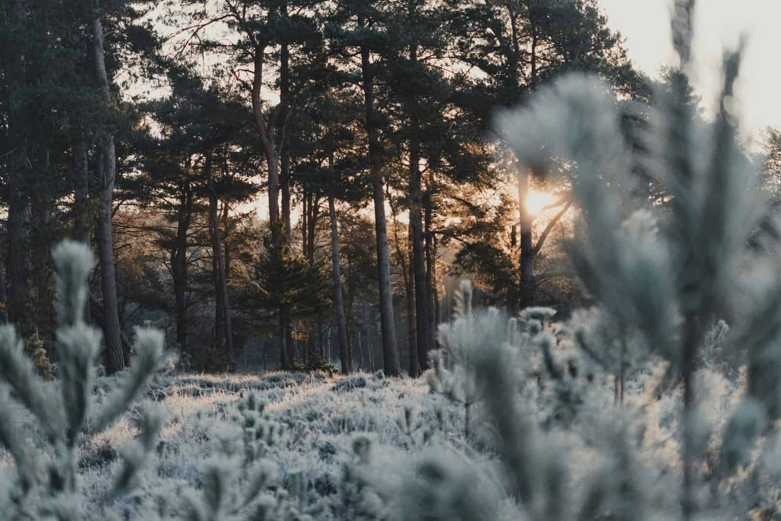 Can Freezing Temperatures Affect Well Safety? Can Freezing Temperatures Affect Well Safety?