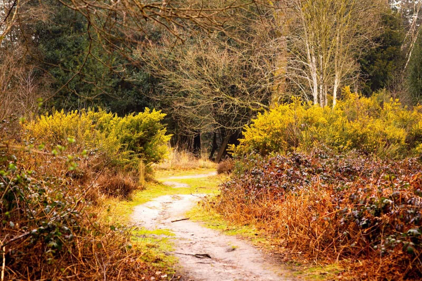 How Do I Know If My Well System Is Leaking? How Do I Know If My Well System Is Leaking?