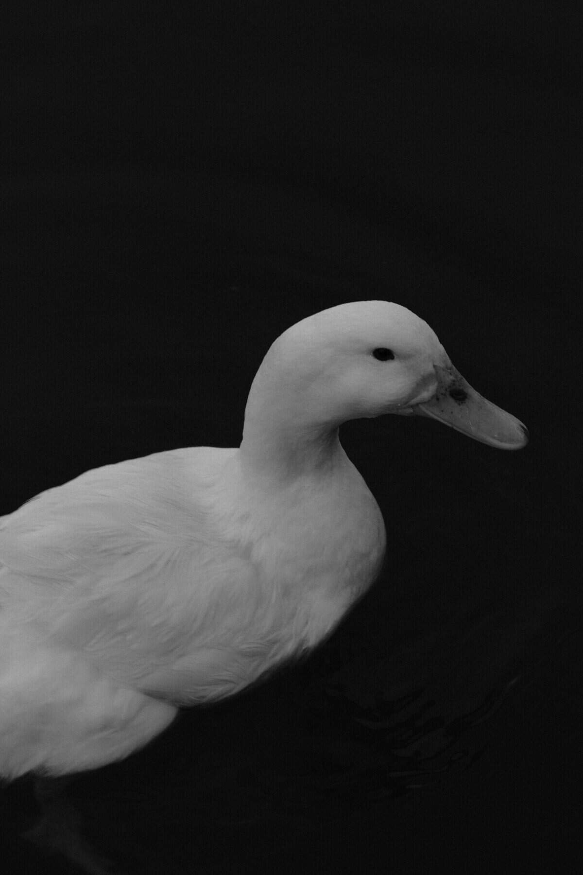 How Often Should I Test My Well For Safety? How Often Should I Test My Well For Safety?