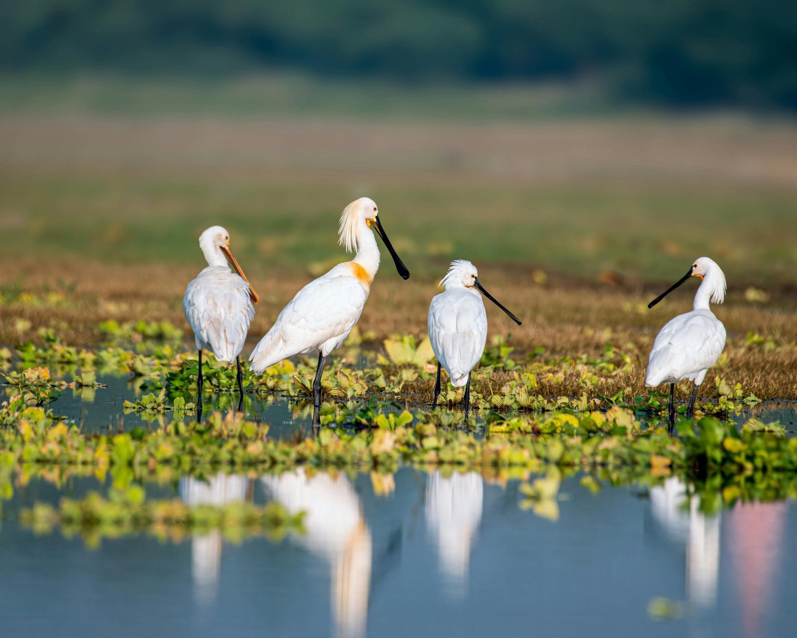 How Often Should You Have Your Well Water Analyzed? How Often Should You Have Your Well Water Analyzed?