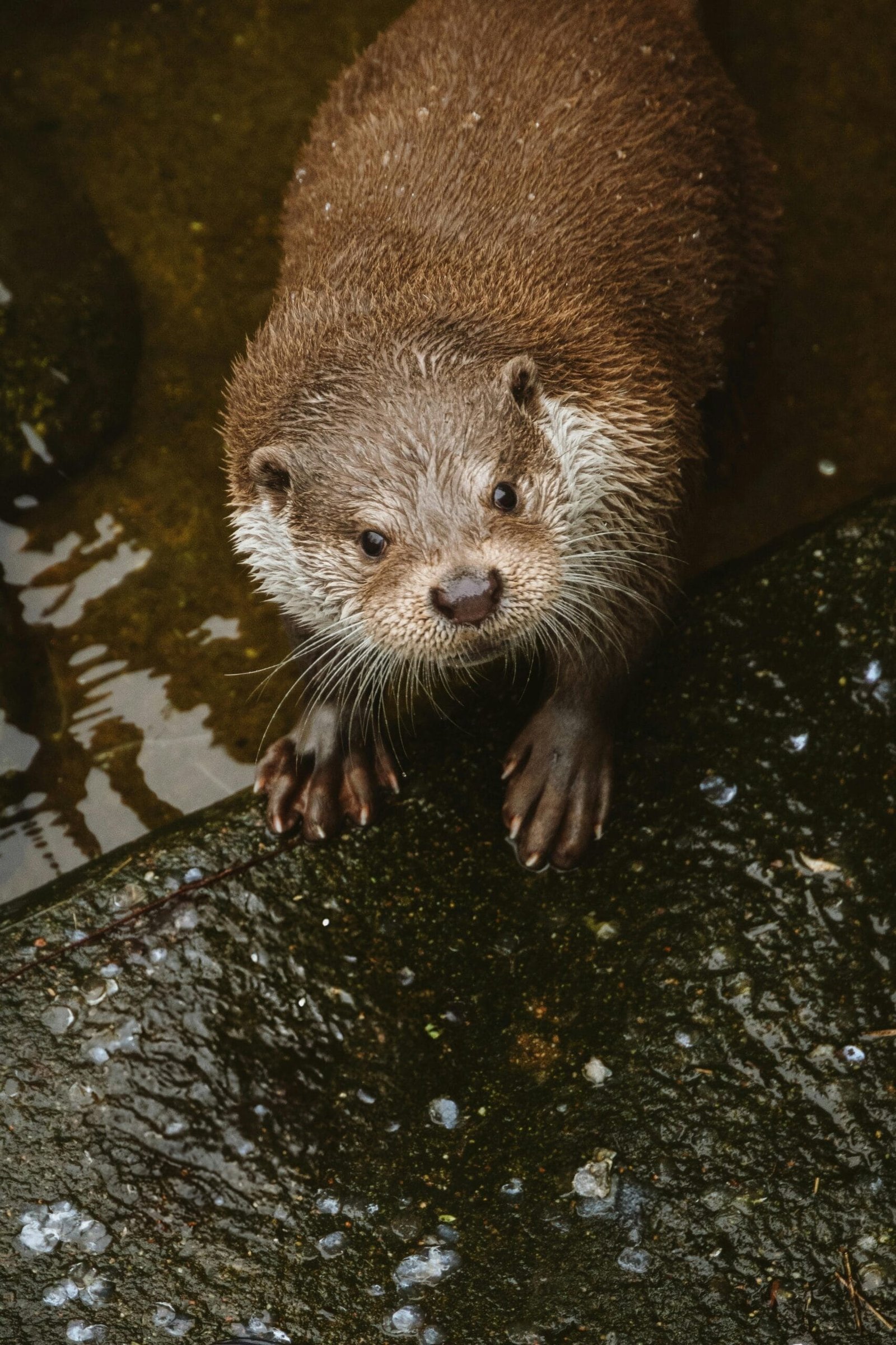 How Often Should You Have Your Well Water Analyzed? How Often Should You Have Your Well Water Analyzed?