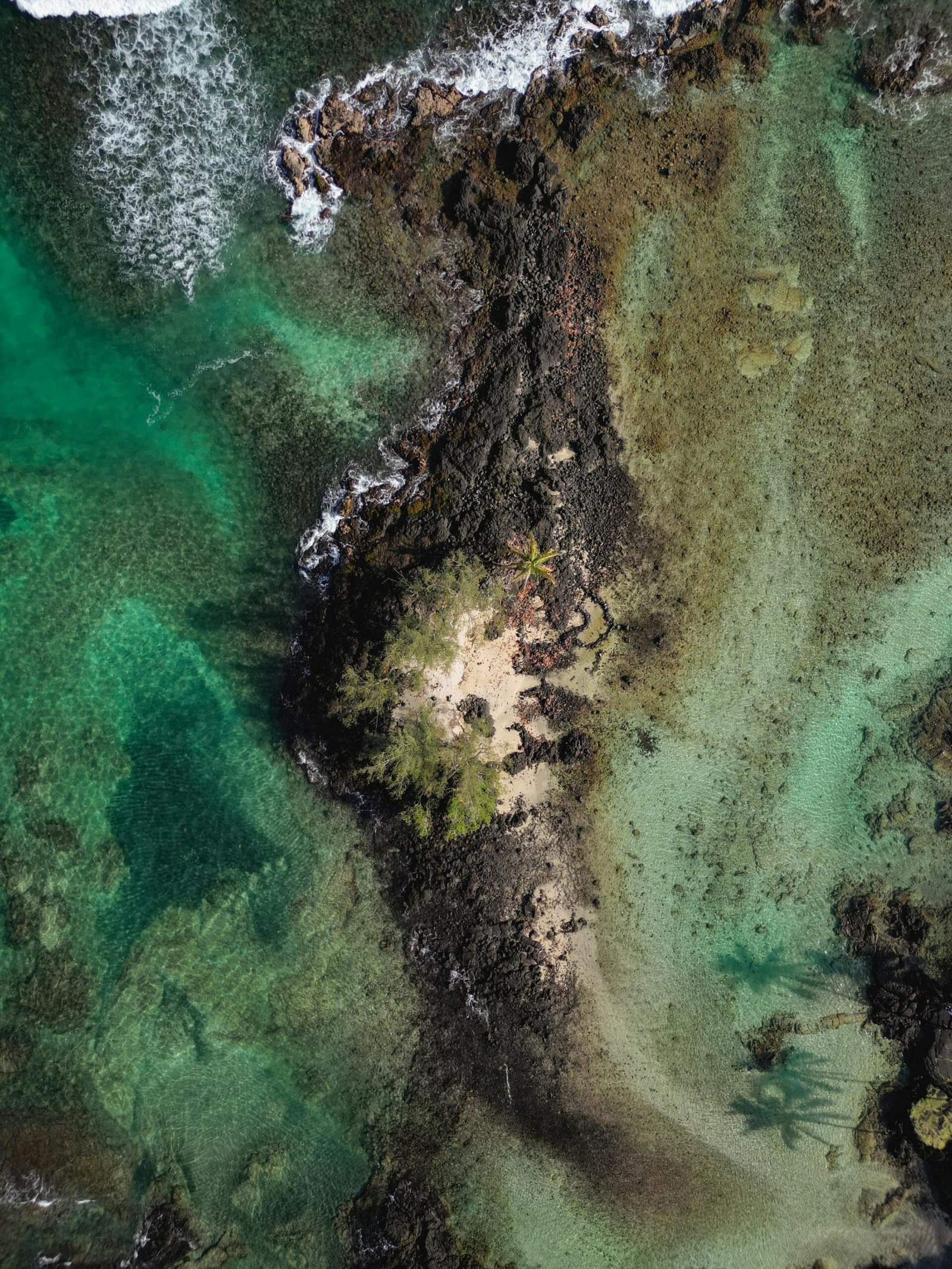 How Often Should You Have Your Well Water Analyzed? How Often Should You Have Your Well Water Analyzed?