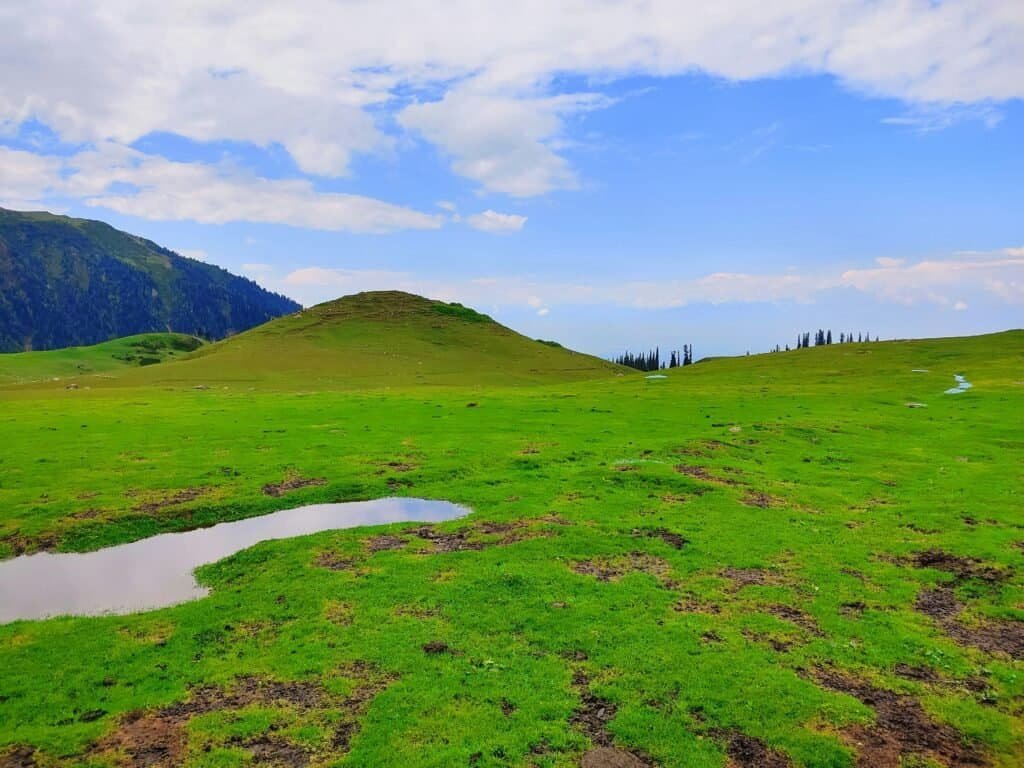 What Are Nitrates And Why Are They Dangerous? What Are Nitrates And Why Are They Dangerous?