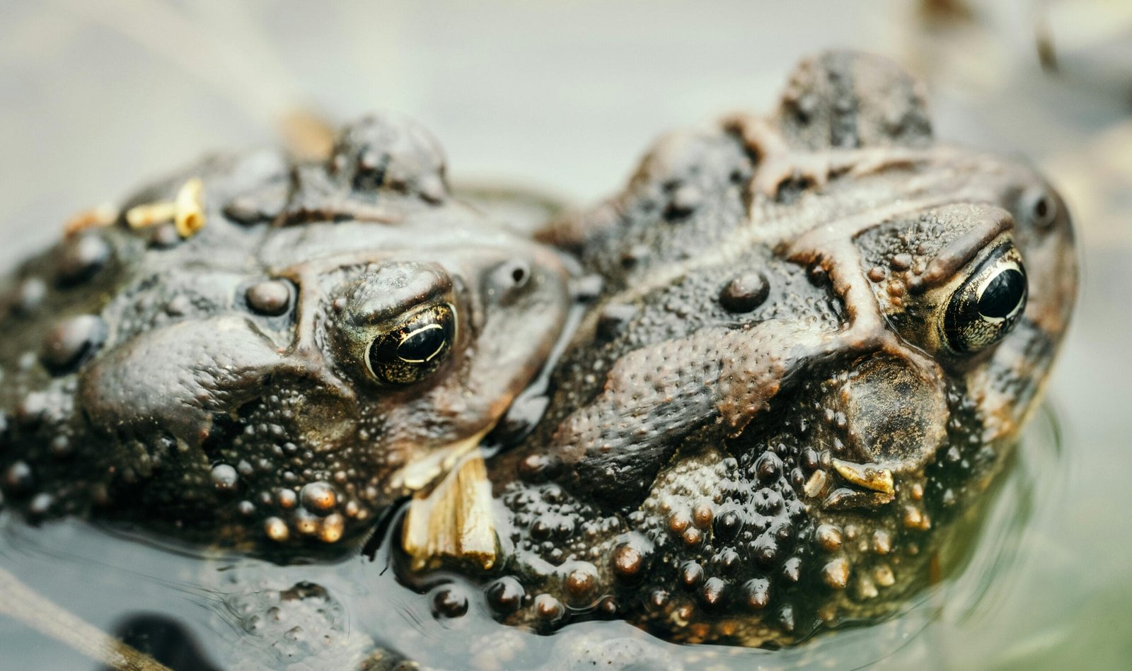 What Is Well Water Quality?