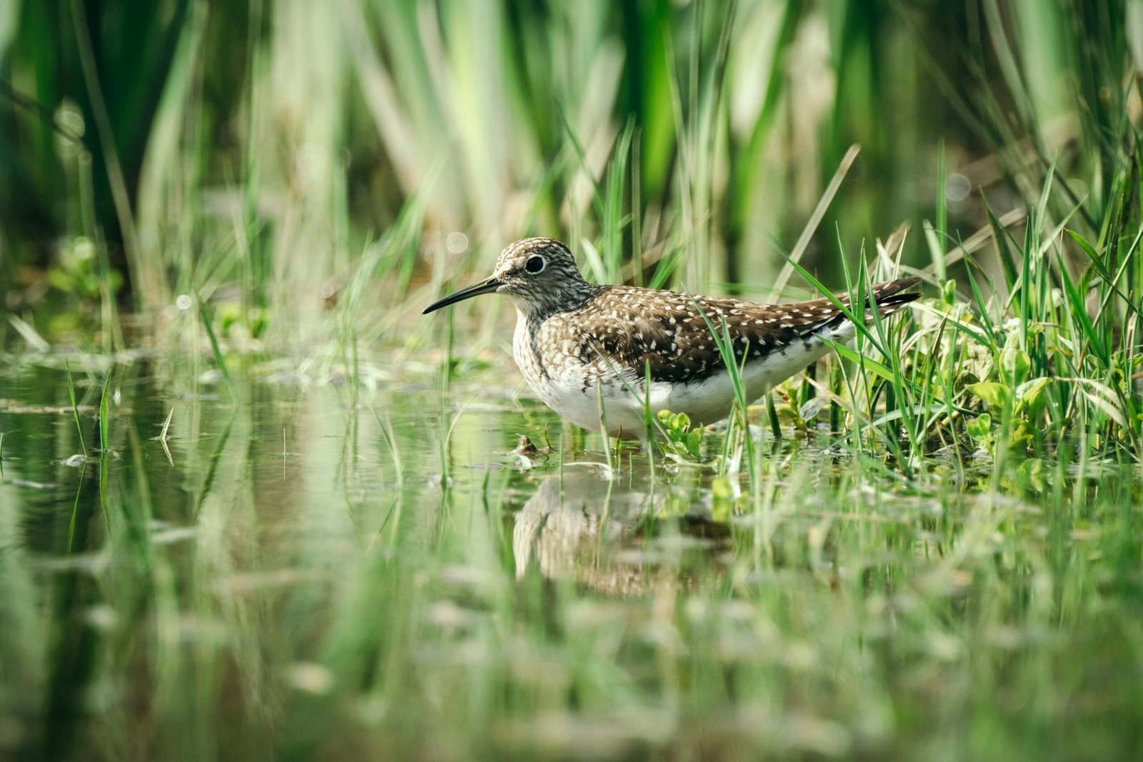 What Is Well Water Quality?