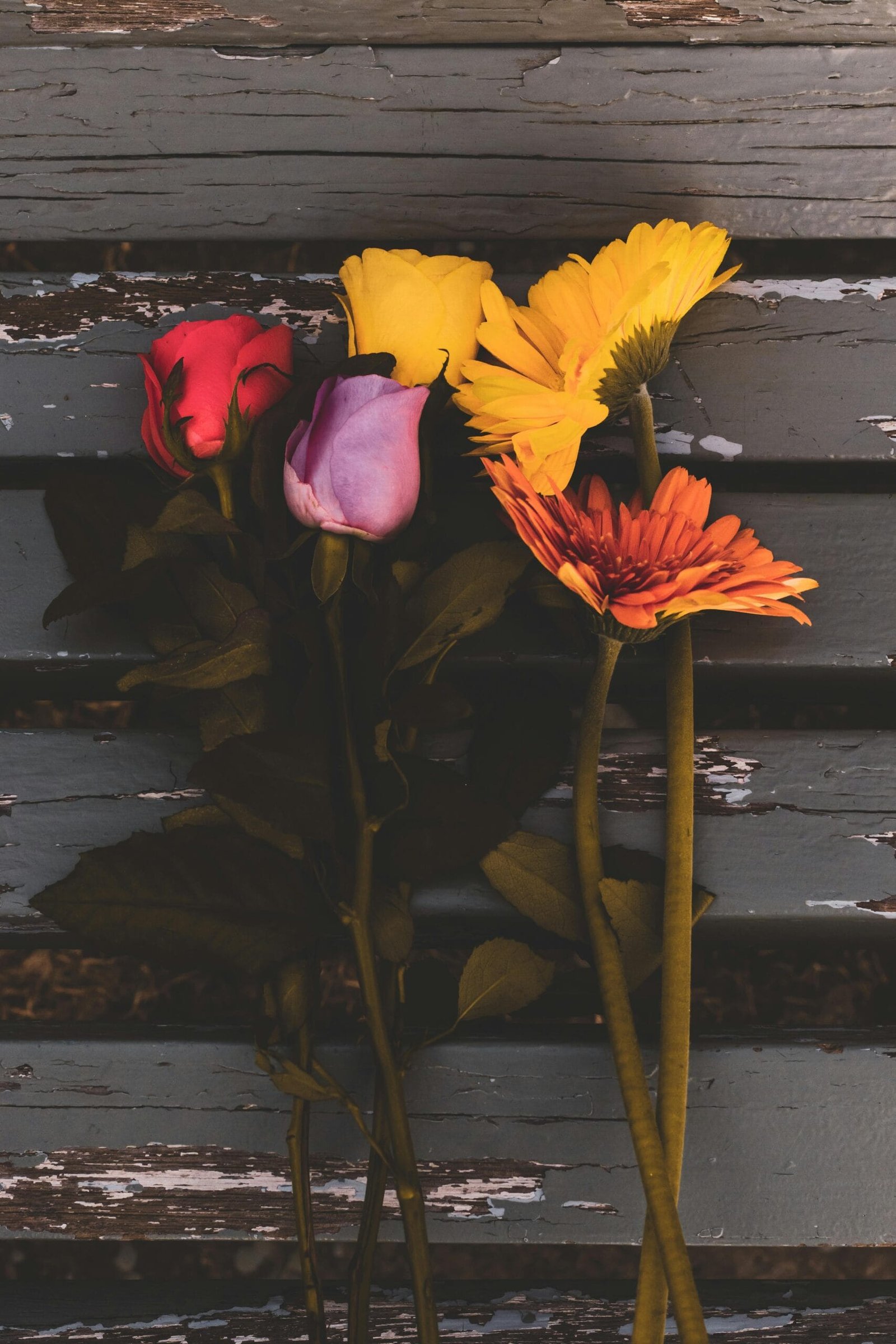 What Is Well Water Quality?