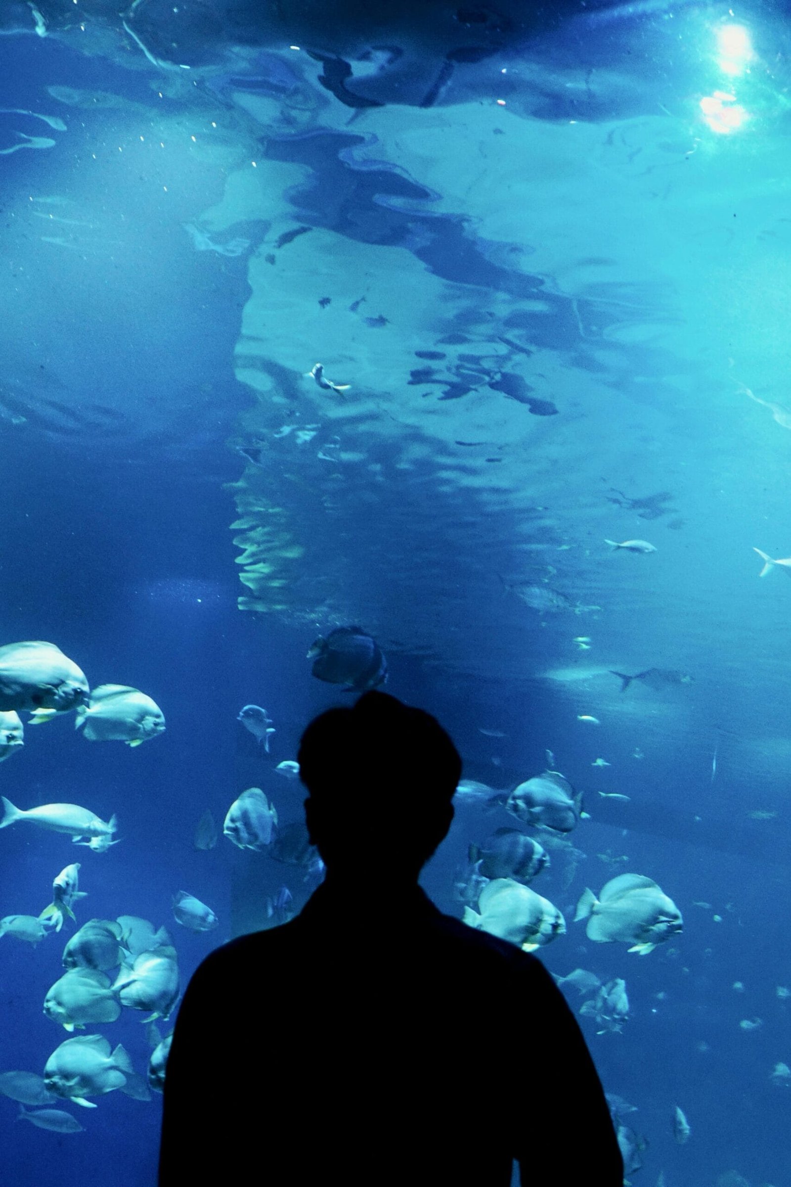 How Deep Should My Well Be?