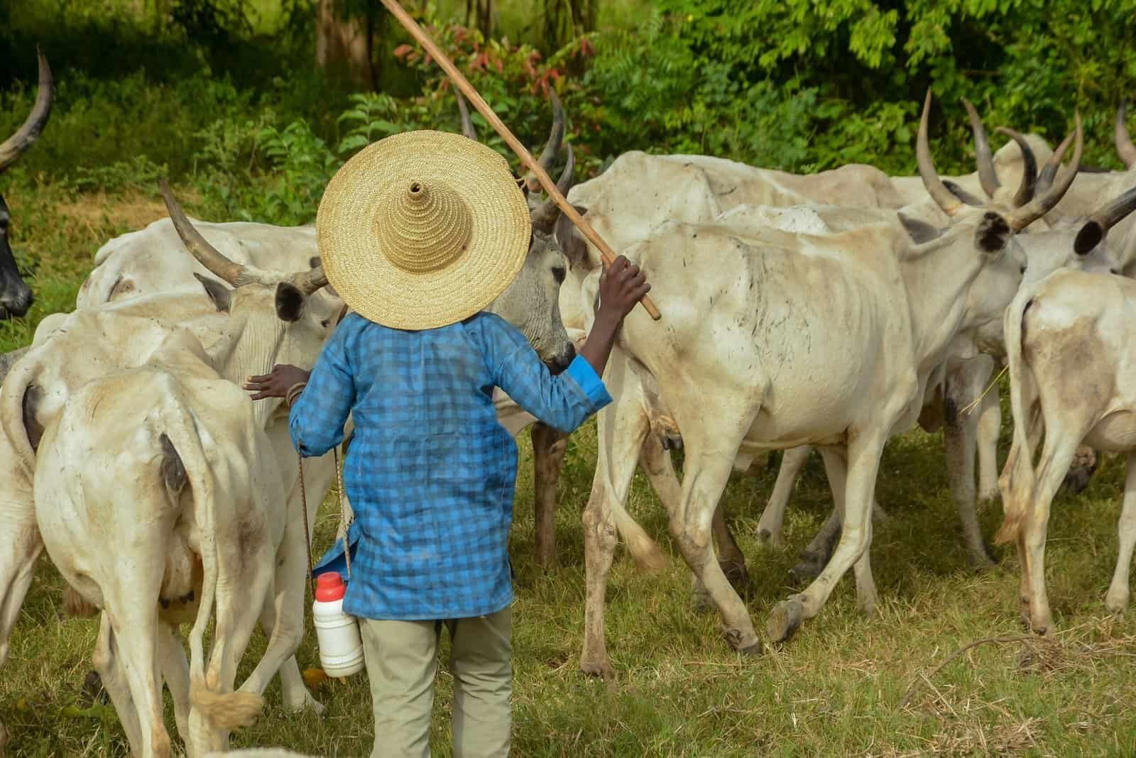 Are There Online Courses About Groundwater Management? Are There Online Courses About Groundwater Management?