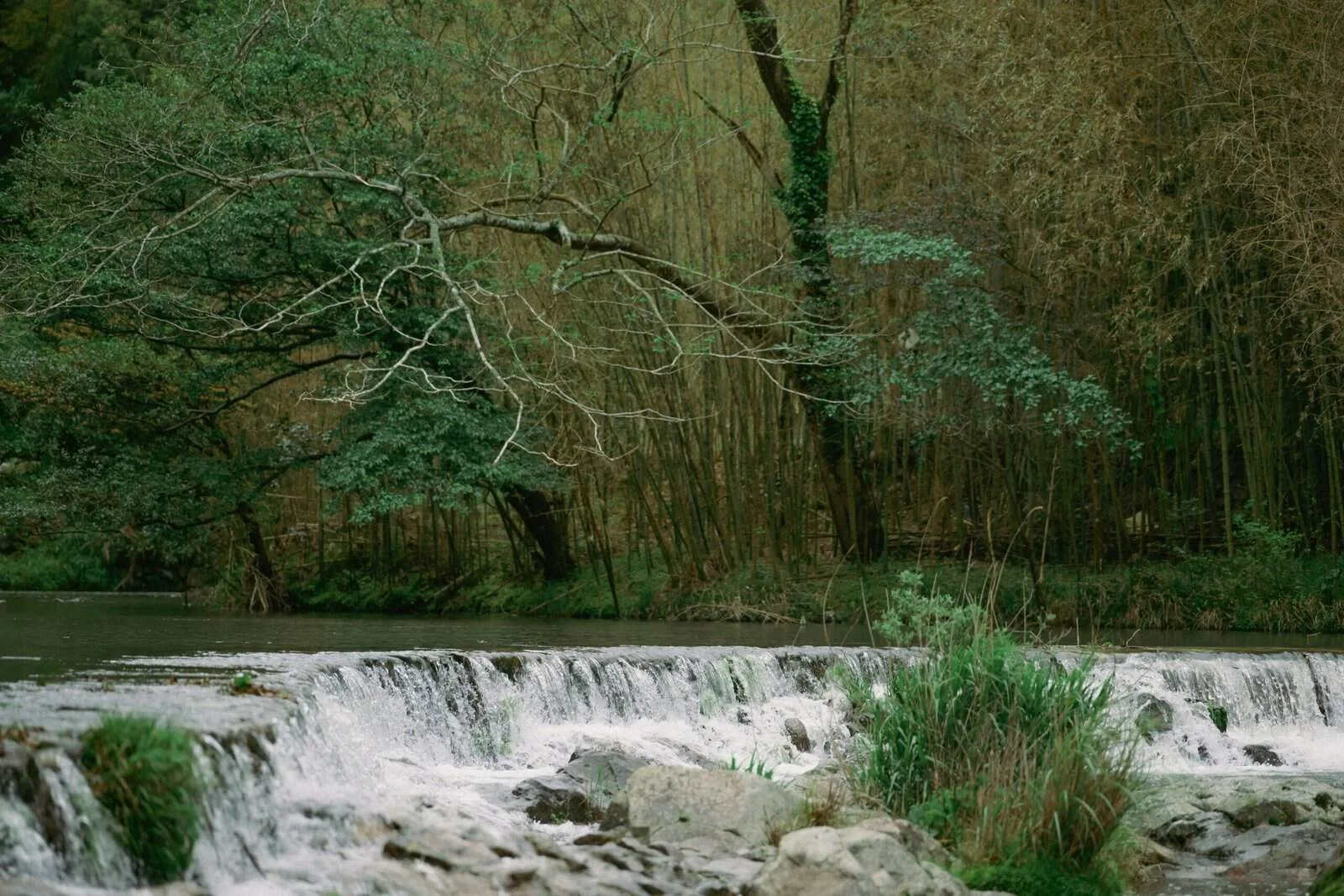 What Are The Common Causes Of Fluctuating Water Pressure In Wells?