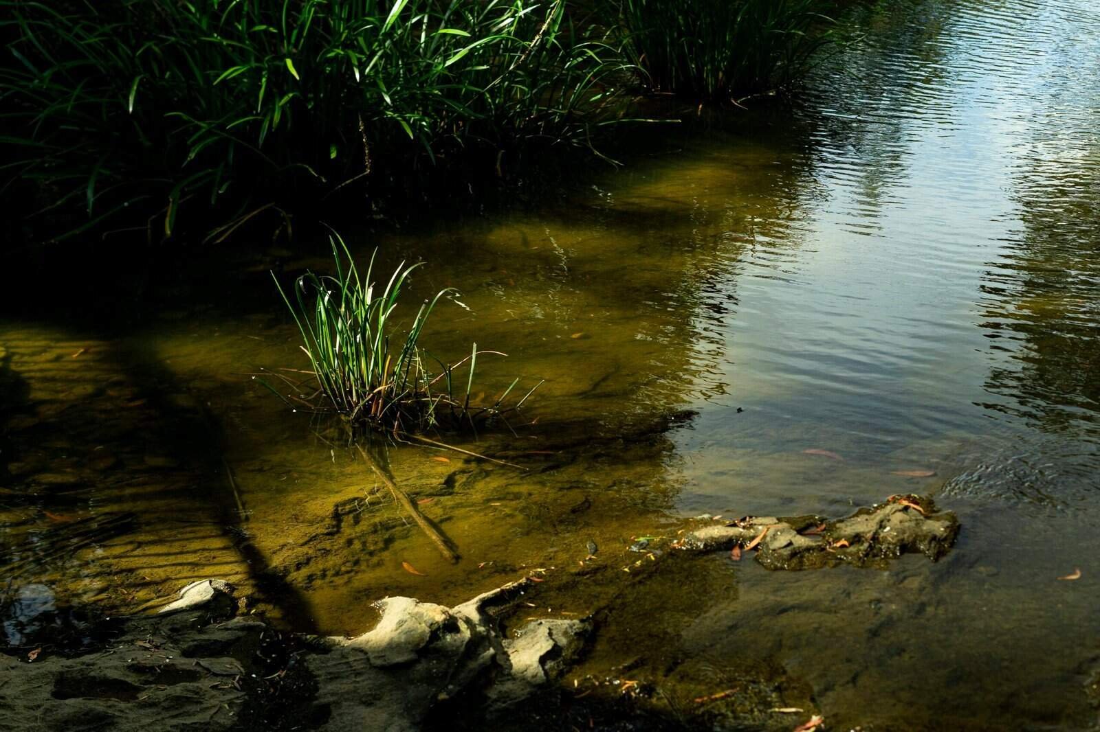 How Do I Protect My Well From Surface Runoff? How Do I Protect My Well From Surface Runoff?