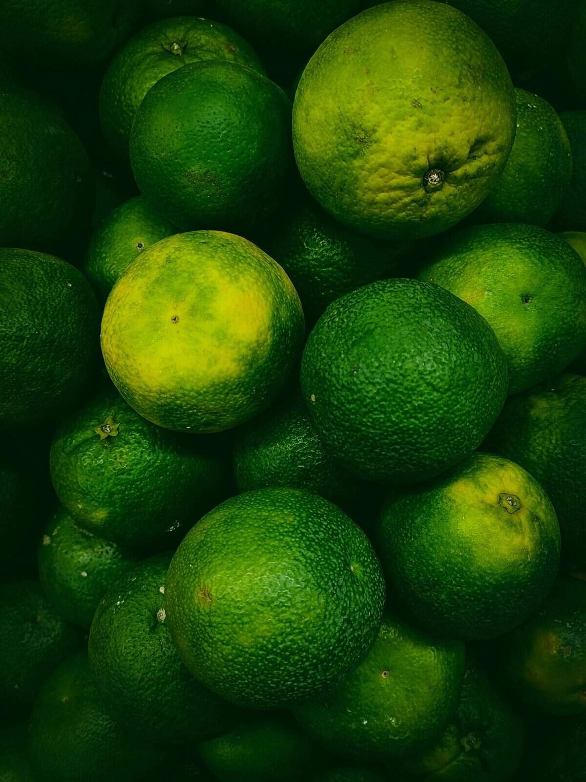 How Do Water Softeners Affect Water Quality? How Do Water Softeners Affect Water Quality?