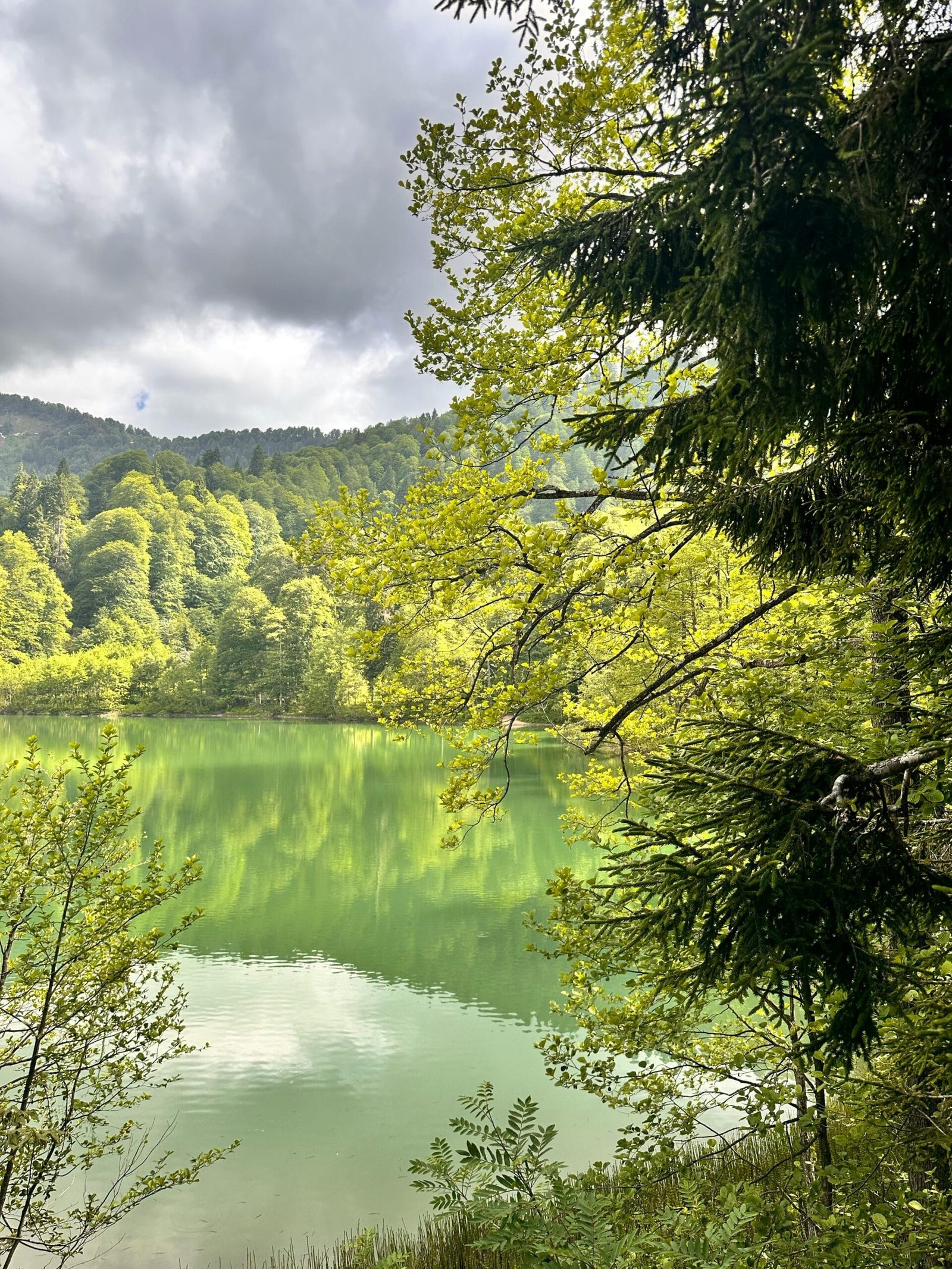 Can I Use Well Water For Irrigation? Can I Use Well Water For Irrigation?