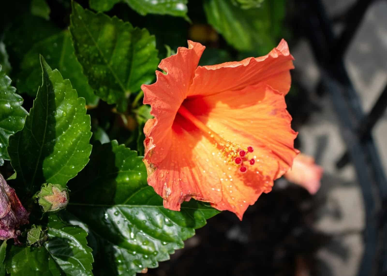 How Do I Maintain My Well System? How Do I Maintain My Well System?