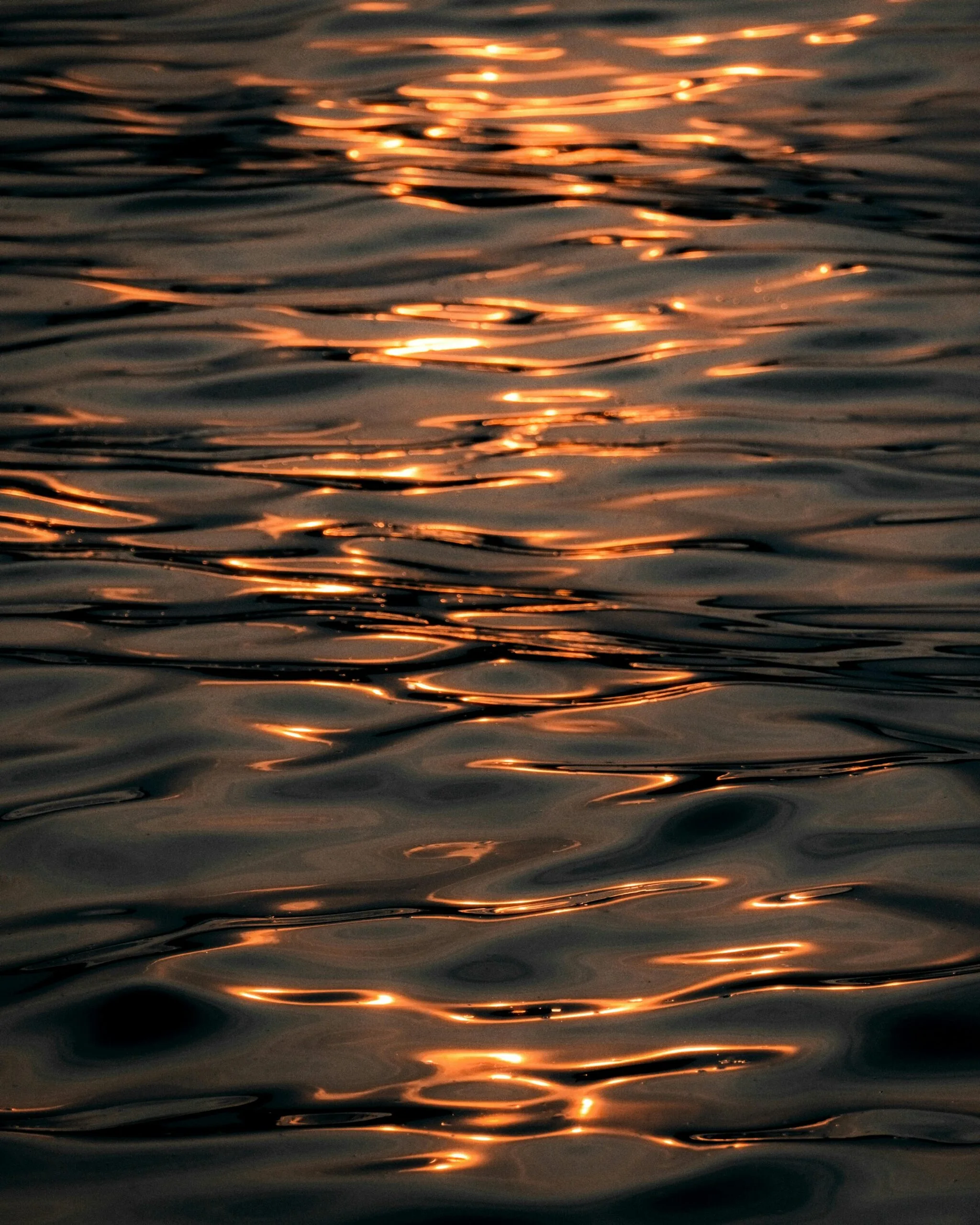 How Do I Remove Bacteria From My Well Water? How Do I Remove Bacteria From My Well Water?