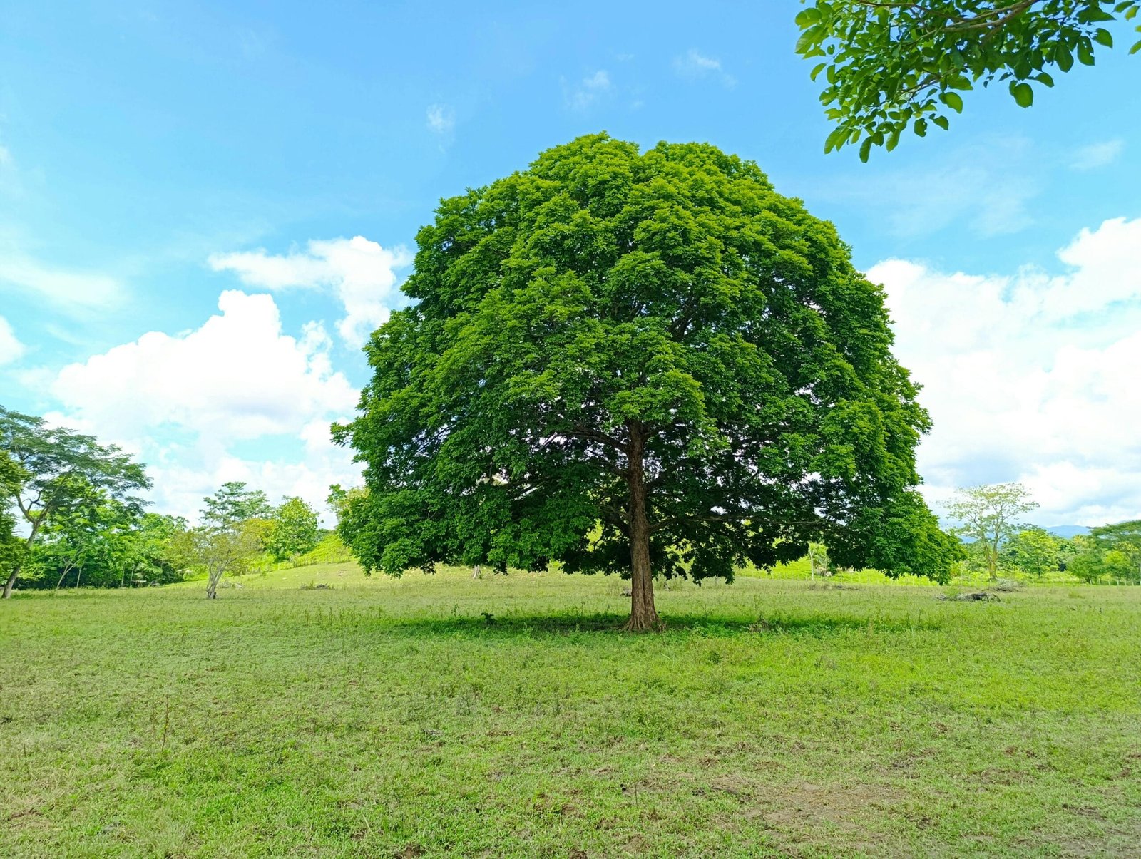 How Do I Safely Shock My Well? How Do I Safely Shock My Well?