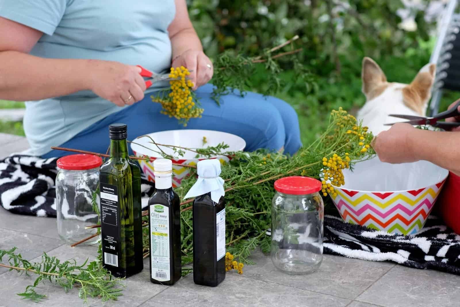 How Do I Safely Shock My Well? How Do I Safely Shock My Well?