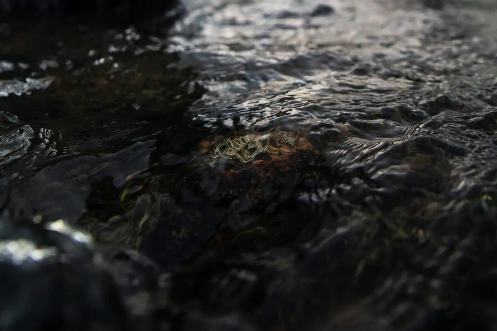 How Do I Seal An Unused Well Safely?