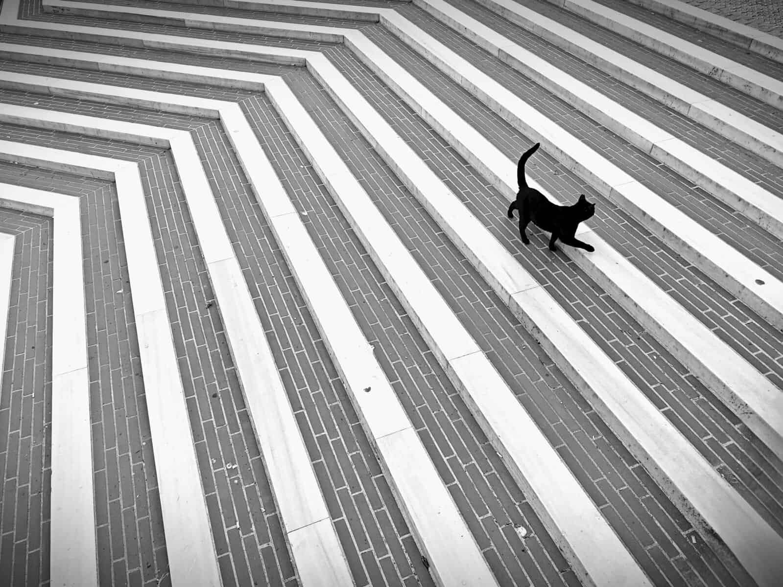 How Do I Test For Lead In My Well Water? How Do I Test For Lead In My Well Water?