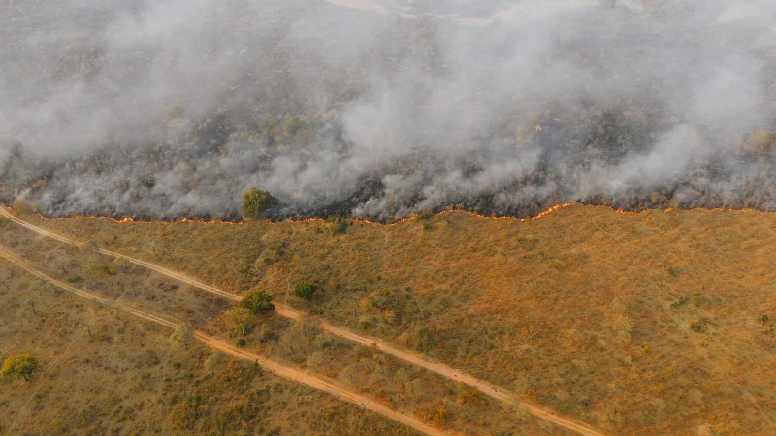What Are The Effects Of Heavy Metals In Well Water? What Are The Effects Of Heavy Metals In Well Water?