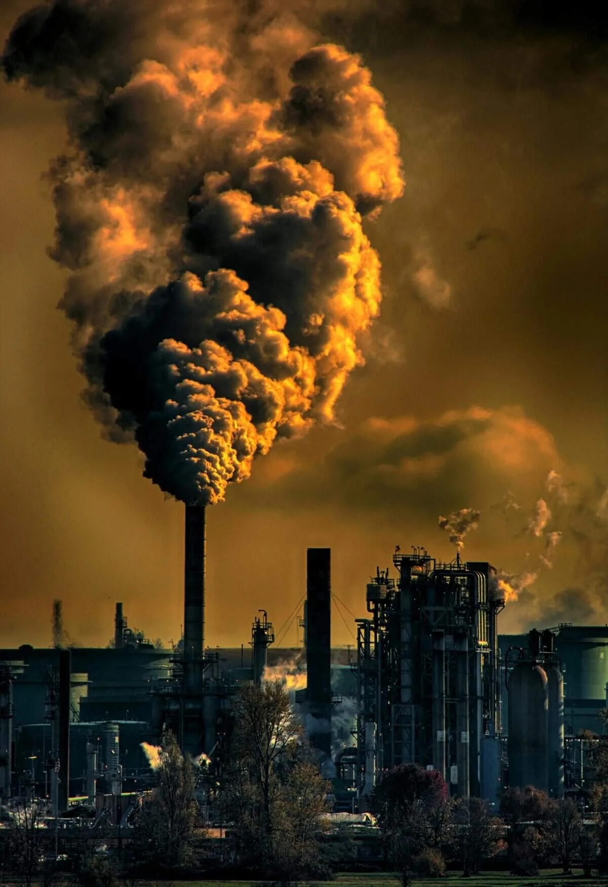 What Should I Do If My Water Smells Like Sulfur? What Should I Do If My Water Smells Like Sulfur?