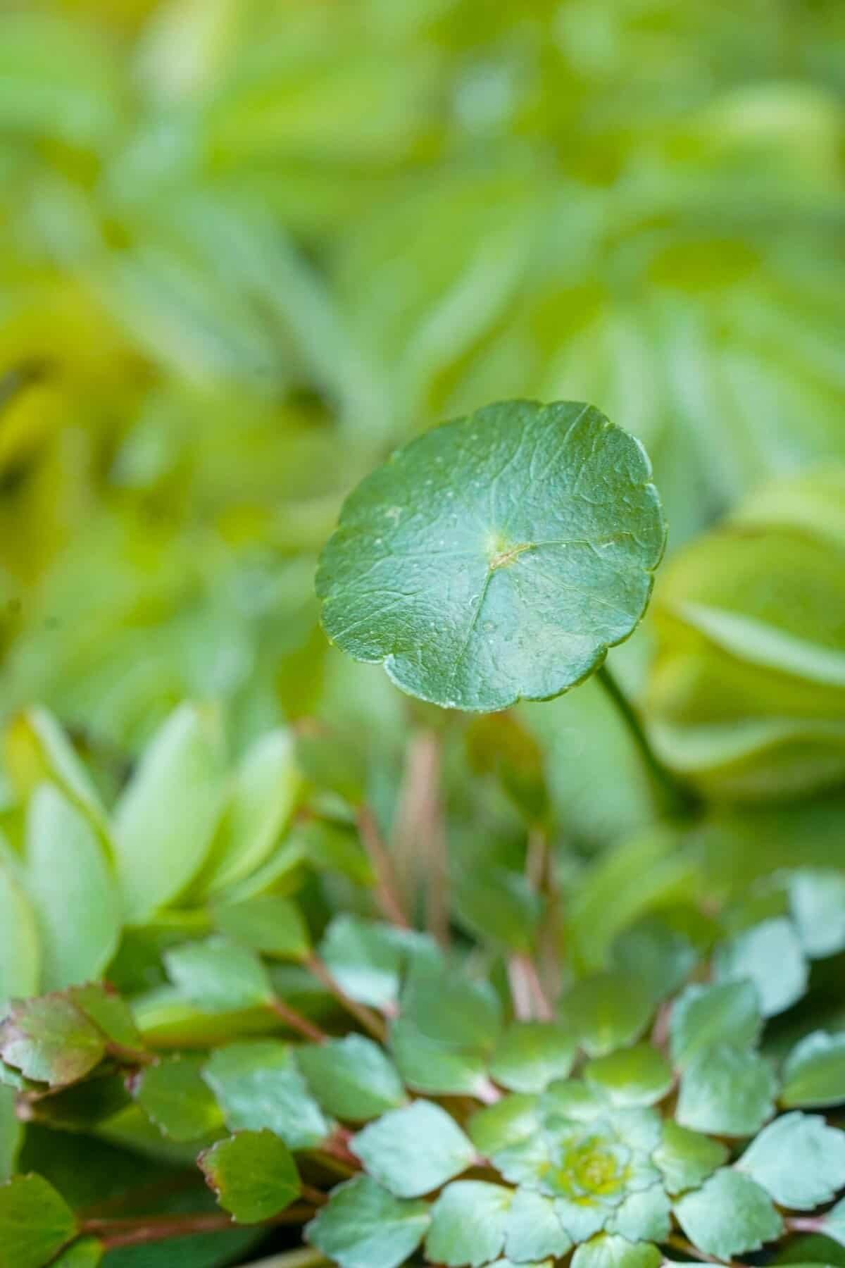 What Should I Inspect During Routine Well Maintenance? What Should I Inspect During Routine Well Maintenance?