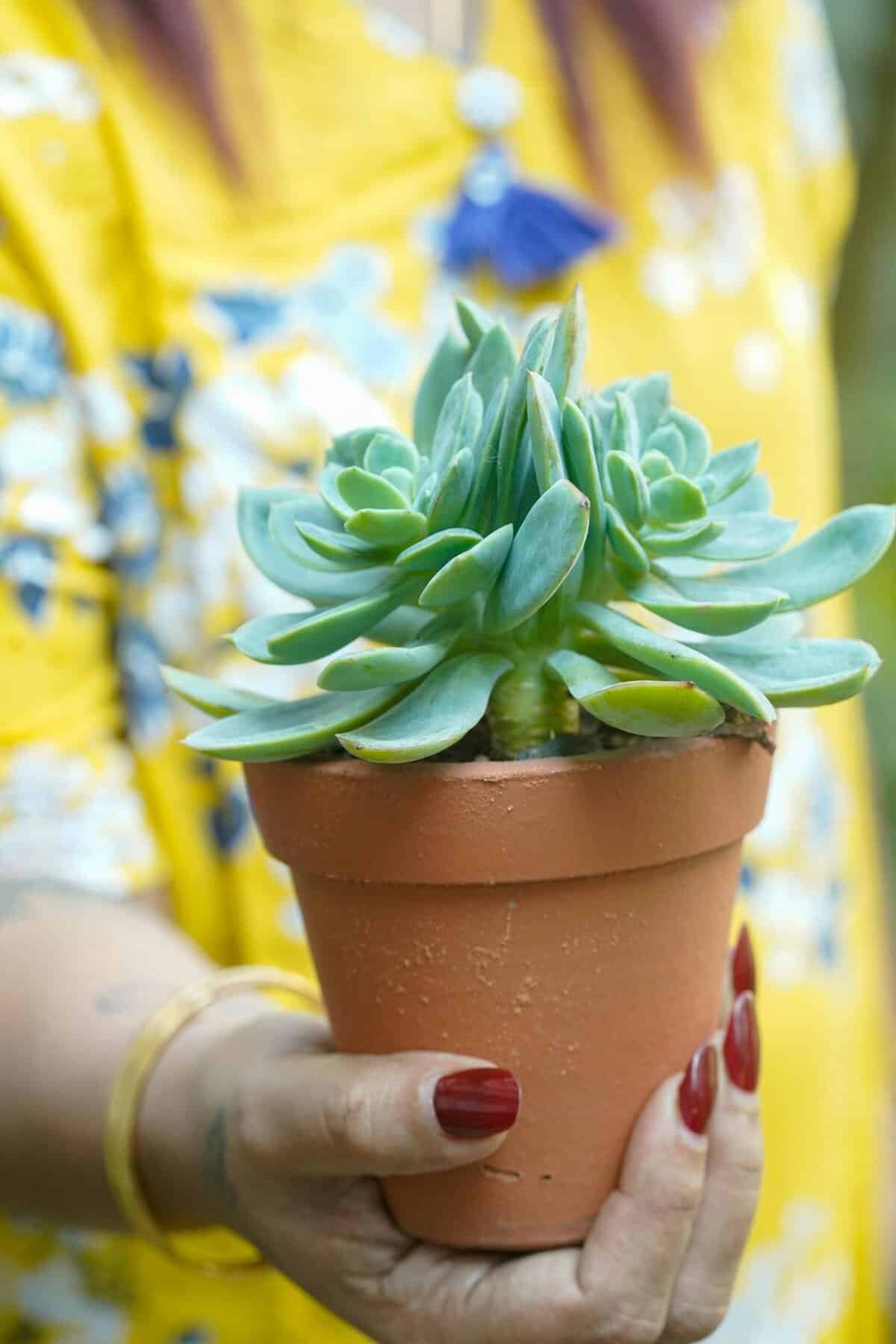 What Should I Inspect During Routine Well Maintenance? What Should I Inspect During Routine Well Maintenance?