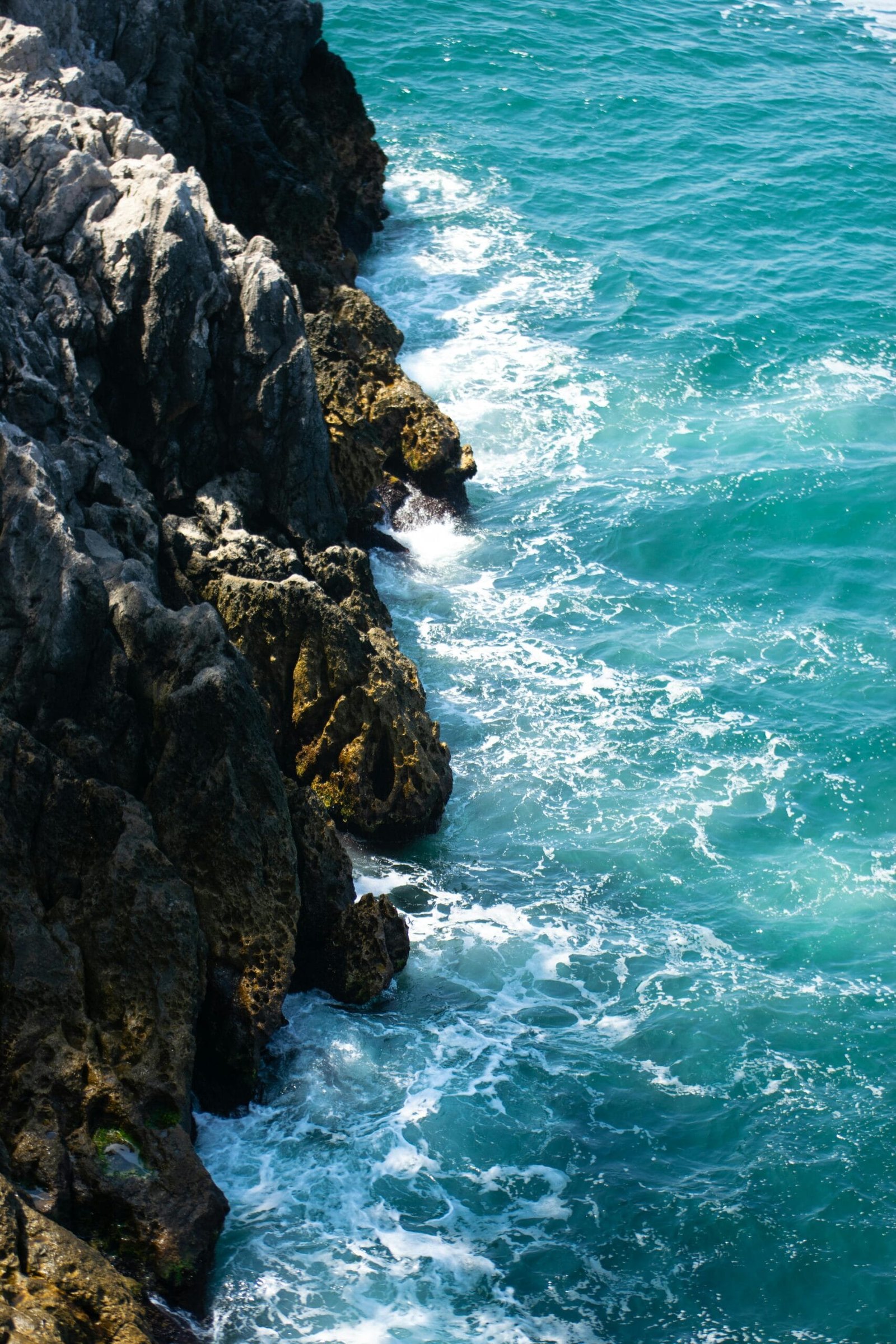 What Types Of Bacteria Are Found In Well Water? What Types Of Bacteria Are Found In Well Water?