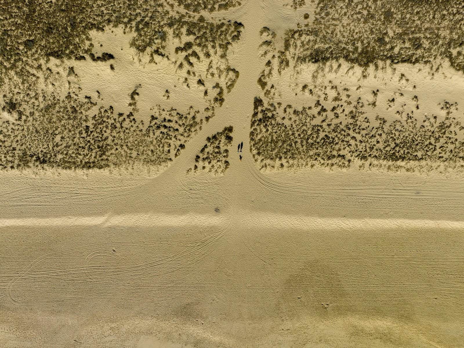 What’s The Risk Of Mold In A Well System?