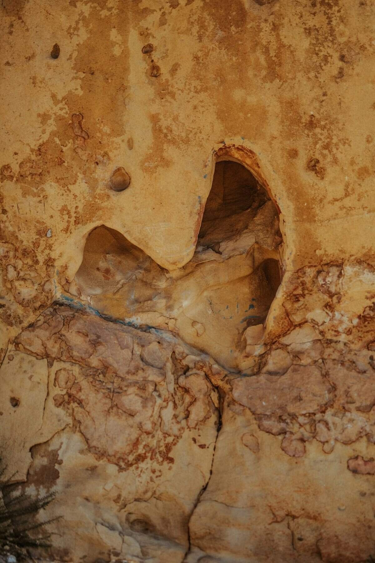 What’s The Risk Of Mold In A Well System?