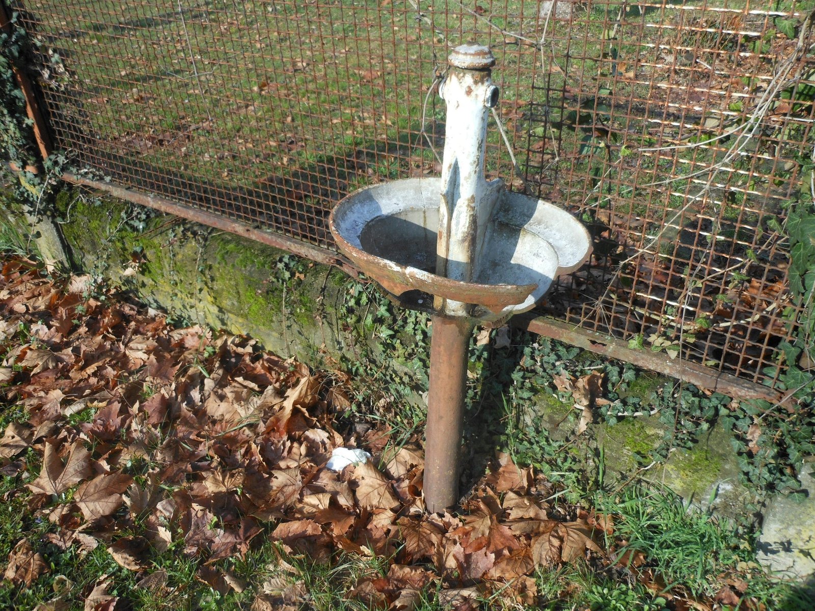Are There Community Forums For Private Well Owners?