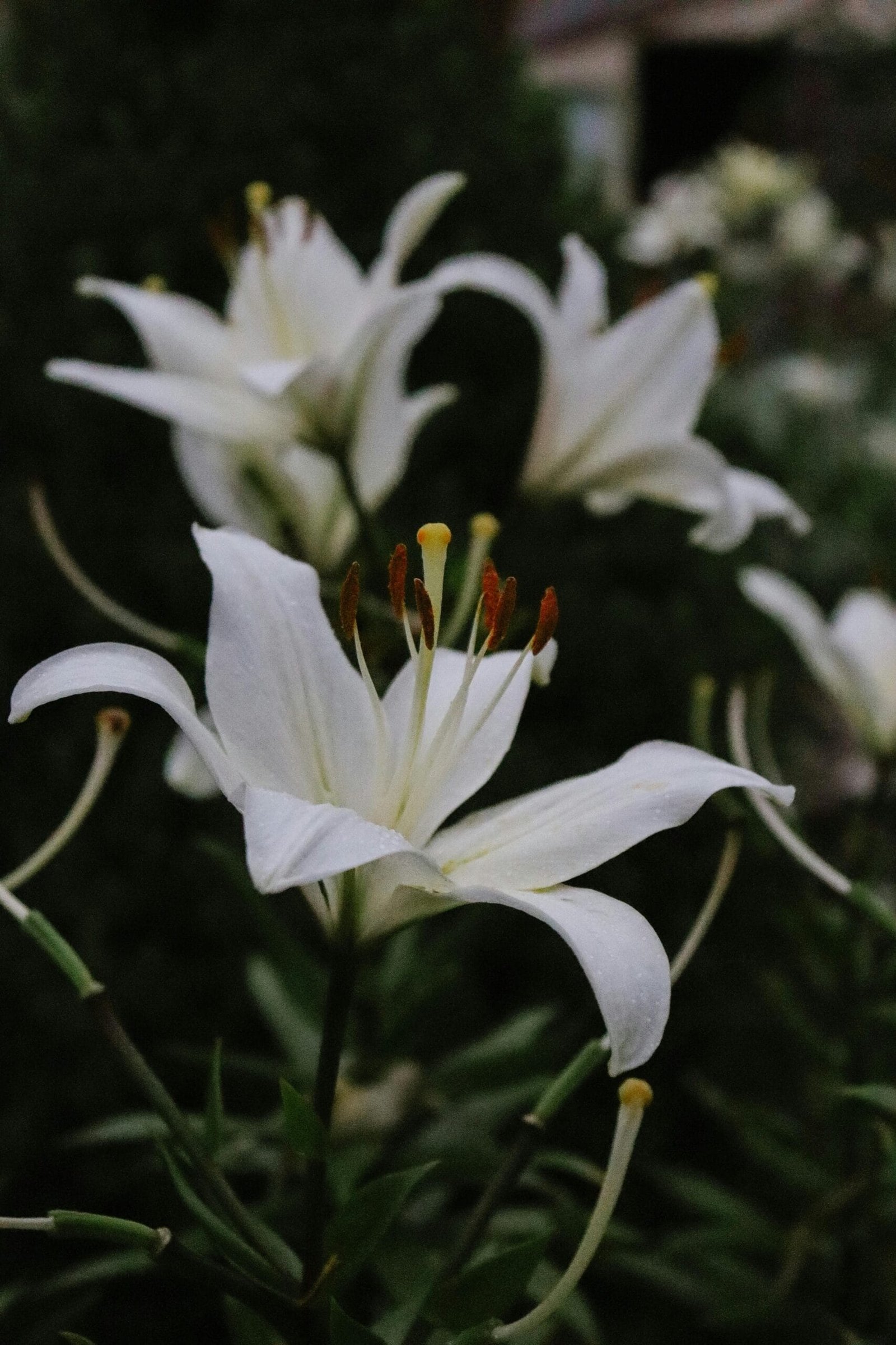Are There Guidelines For Landscaping Around Private Wells? Are There Guidelines For Landscaping Around Private Wells?