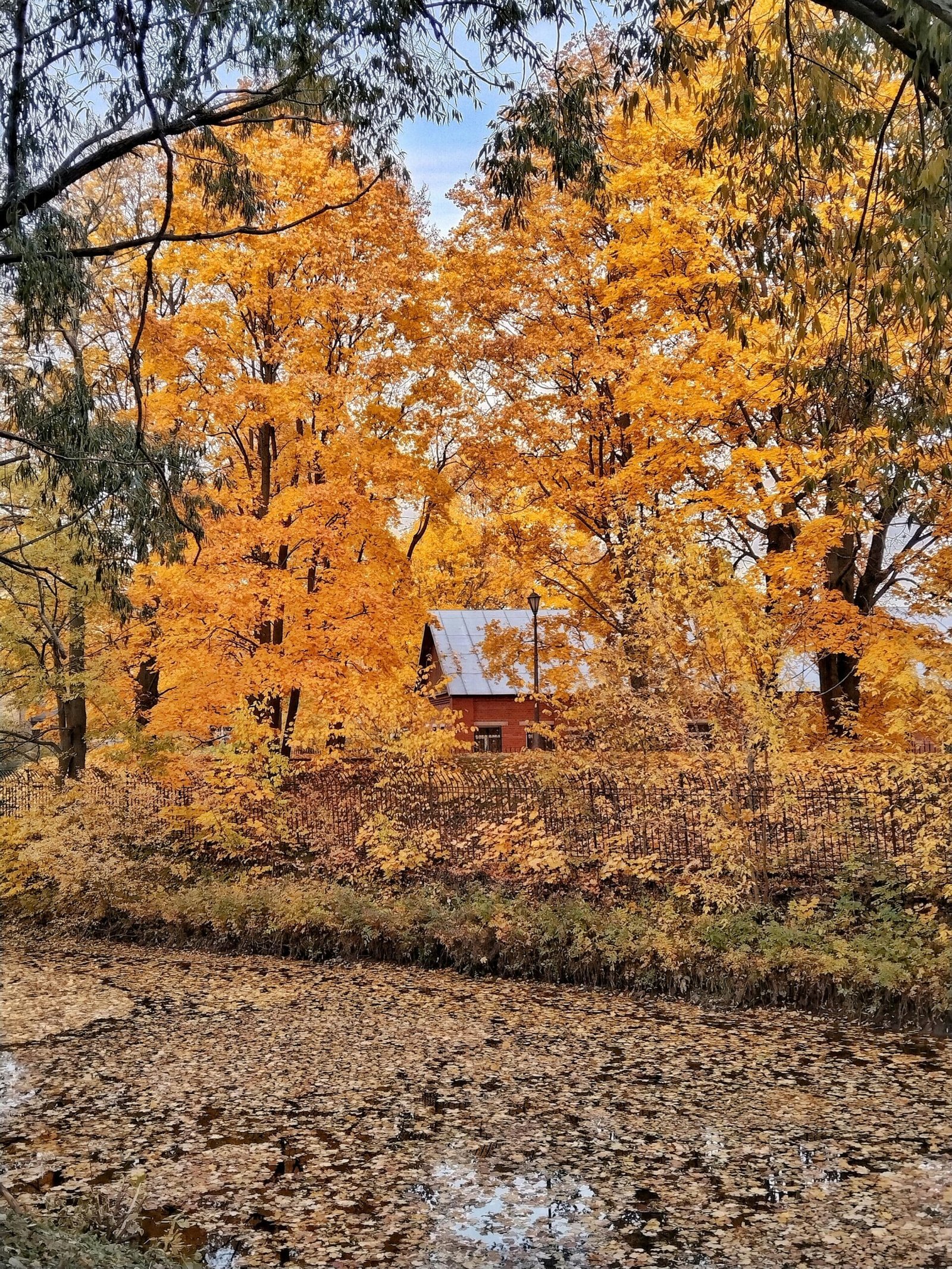 Can A Septic System Contaminate My Well? Can A Septic System Contaminate My Well?