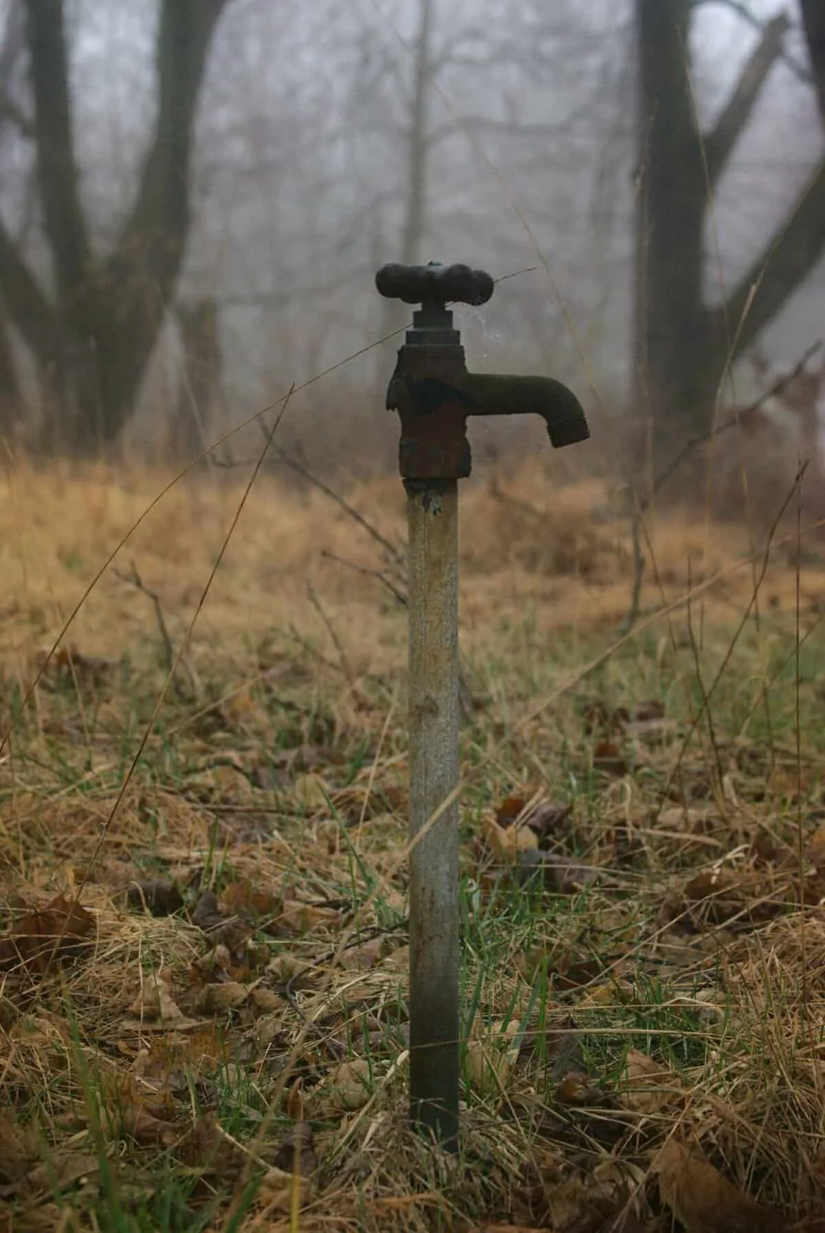 Can Drought Affect My Well Water Supply?