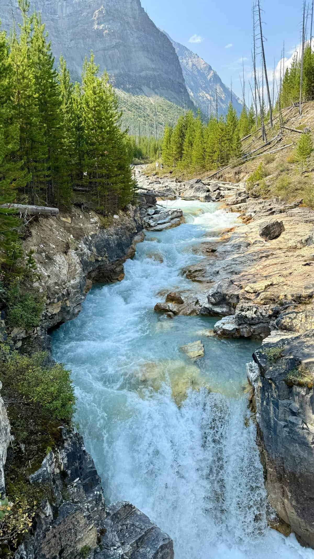 How Do I Disinfect My Well Water? How Do I Disinfect My Well Water?