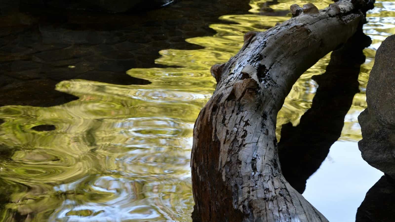 How Do I Disinfect My Well Water? How Do I Disinfect My Well Water?