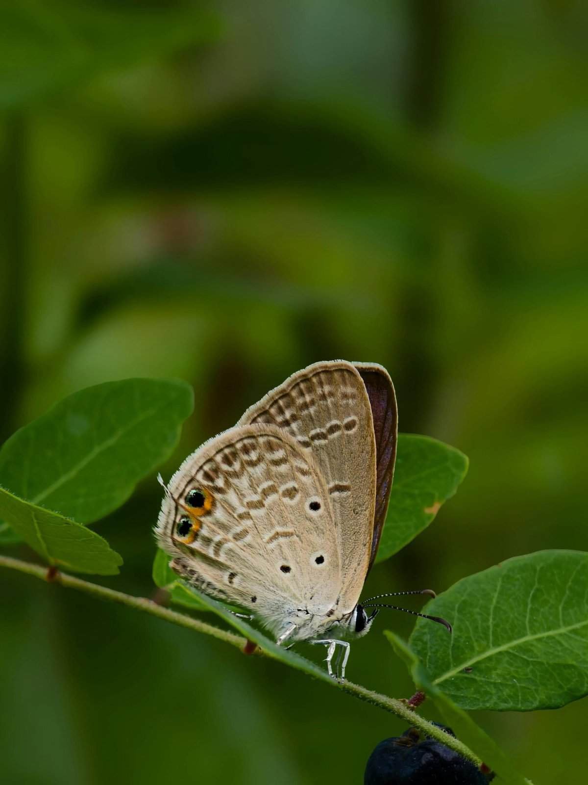 How Do I Protect My Well From Surface Contamination? How Do I Protect My Well From Surface Contamination?