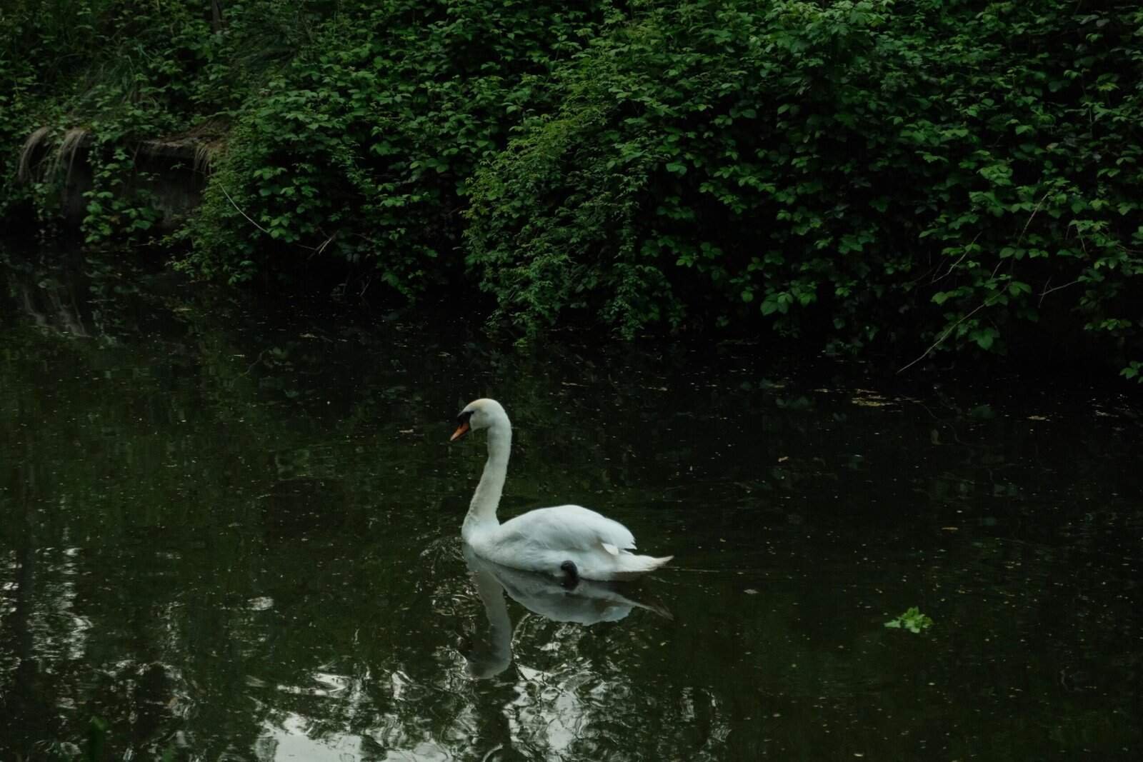 What Are The Benefits Of Owning A Private Water Well?