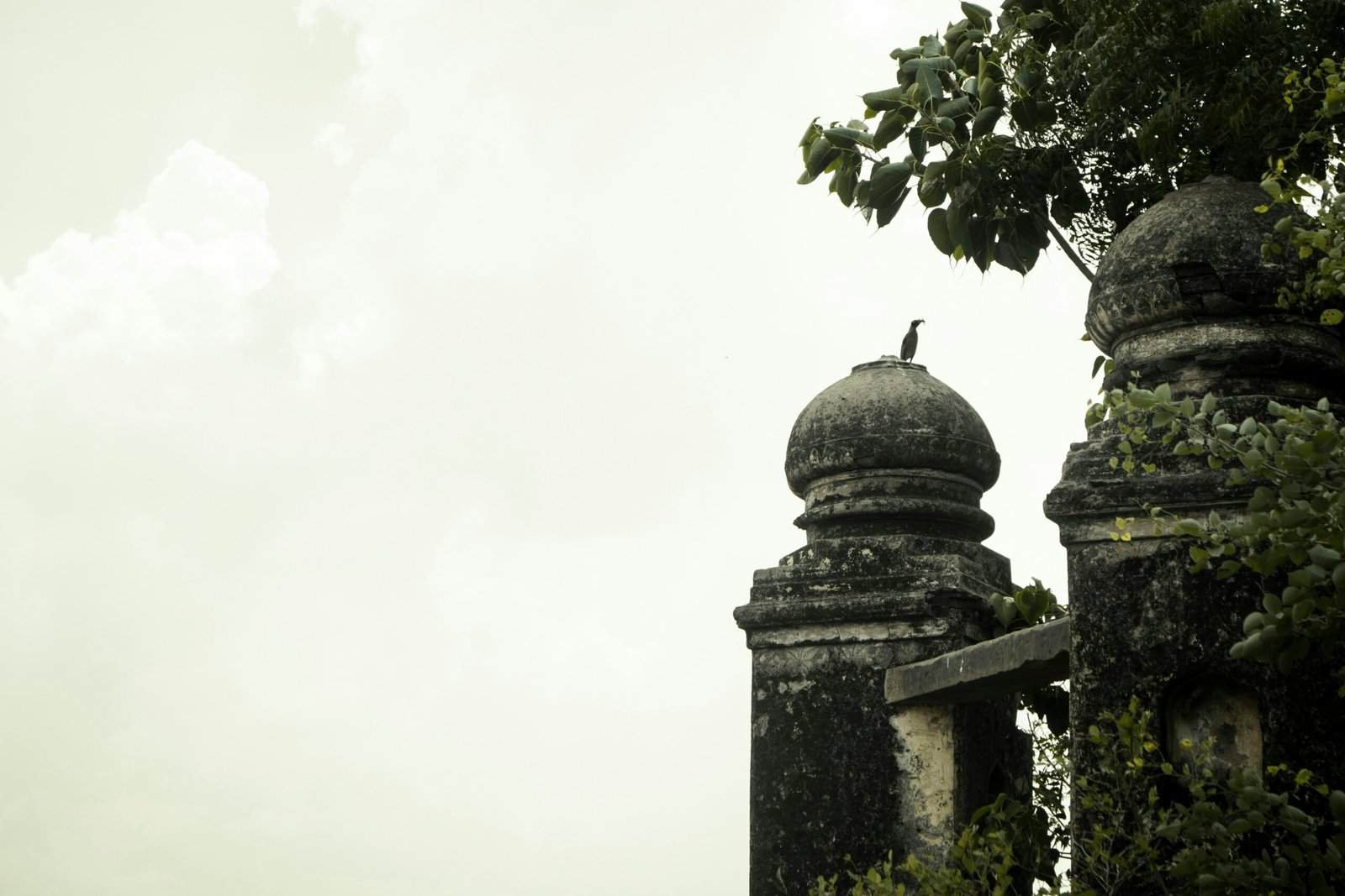 What Are The Different Types Of Residential Wells? What Are The Different Types Of Residential Wells?